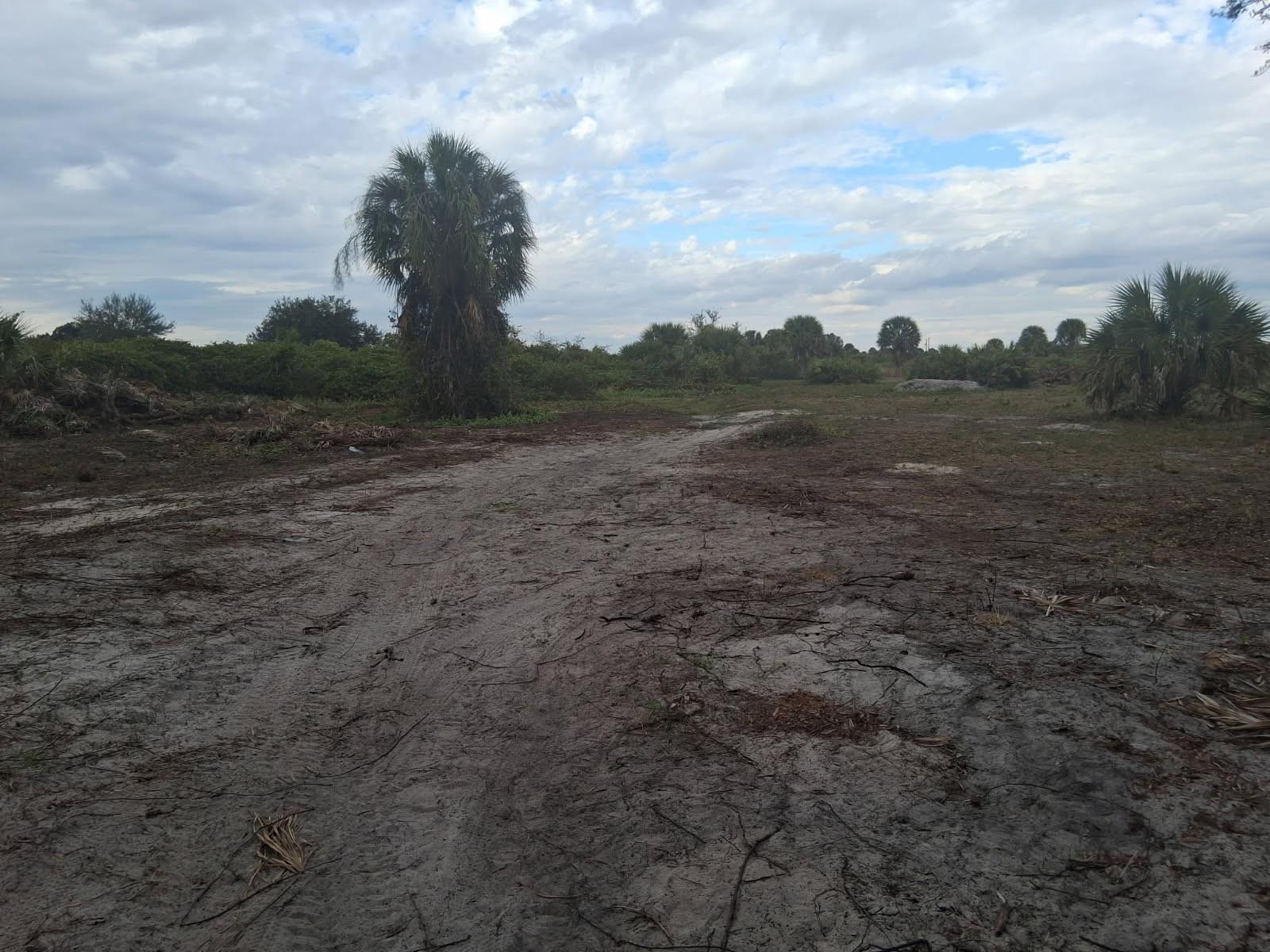 21583 NW 274th Street, Okeechobee, FL 34972, Okeechobee - Photo 3