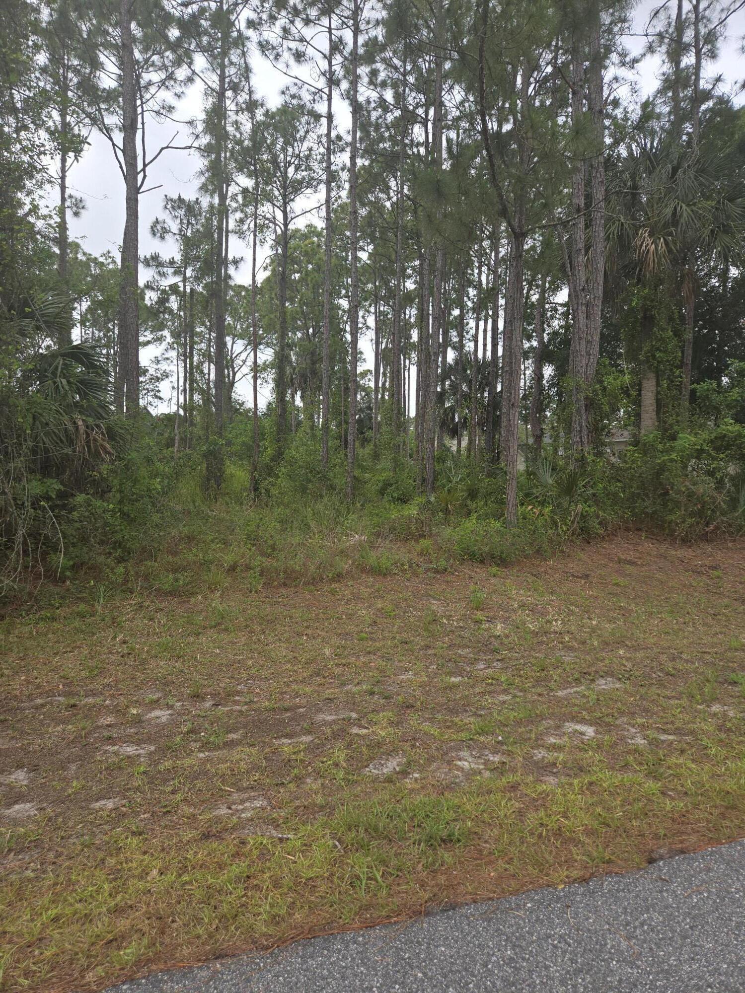 1836 Pindo Court NW, Palm Bay, FL 32909, Palm Bay - Photo 2