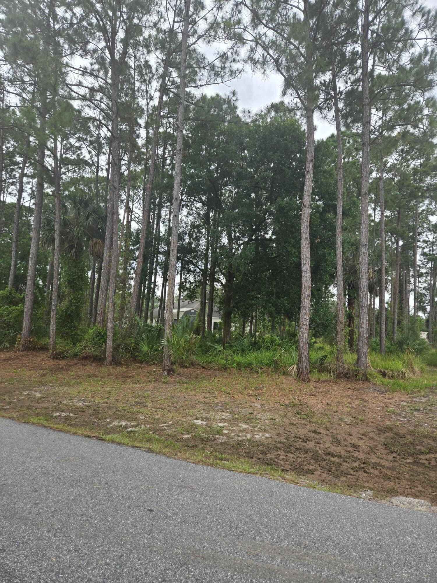 1836 Pindo Court NW, Palm Bay, FL 32909, Palm Bay - Photo 5