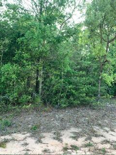0 Gardenia Drive, Marianna, FL 32448, Marianna