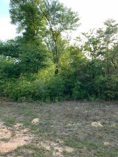 0 Gardenia Drive, Marianna, FL 32448, Marianna - Photo 4