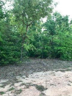 0 Gardenia Drive, Marianna, FL 32448, Marianna - Photo 5