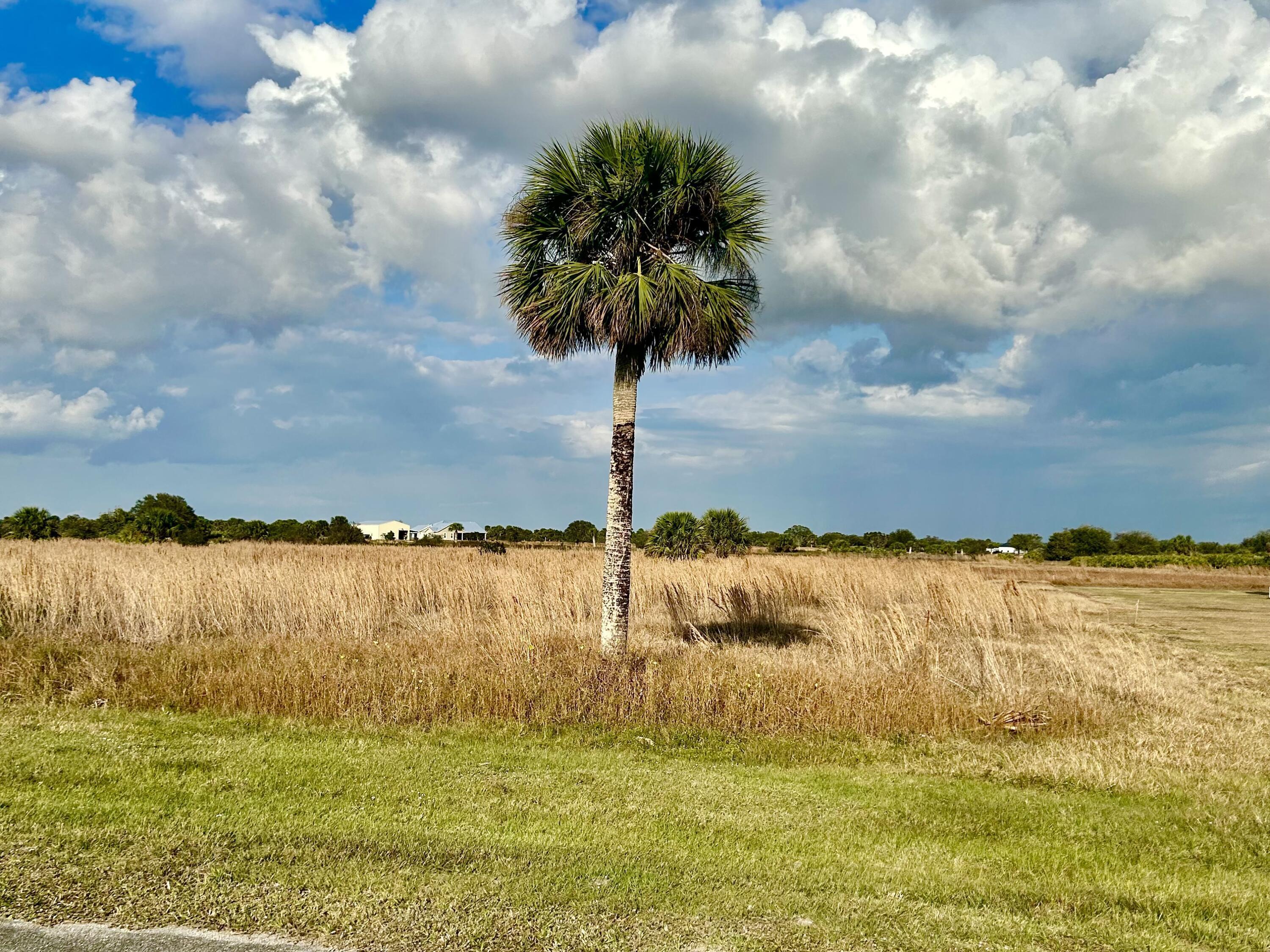 6635 SE 26th Trail, Okeechobee, FL 34974, Okeechobee - Photo 2