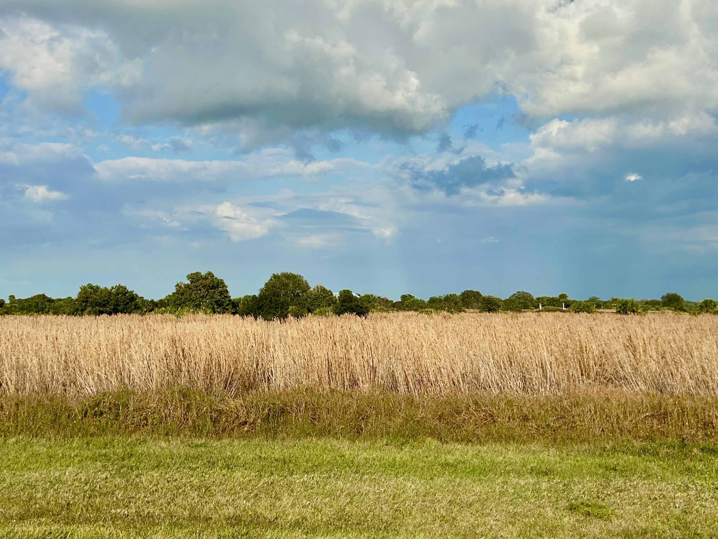6635 SE 26th Trail, Okeechobee, FL 34974, Okeechobee - Photo 4