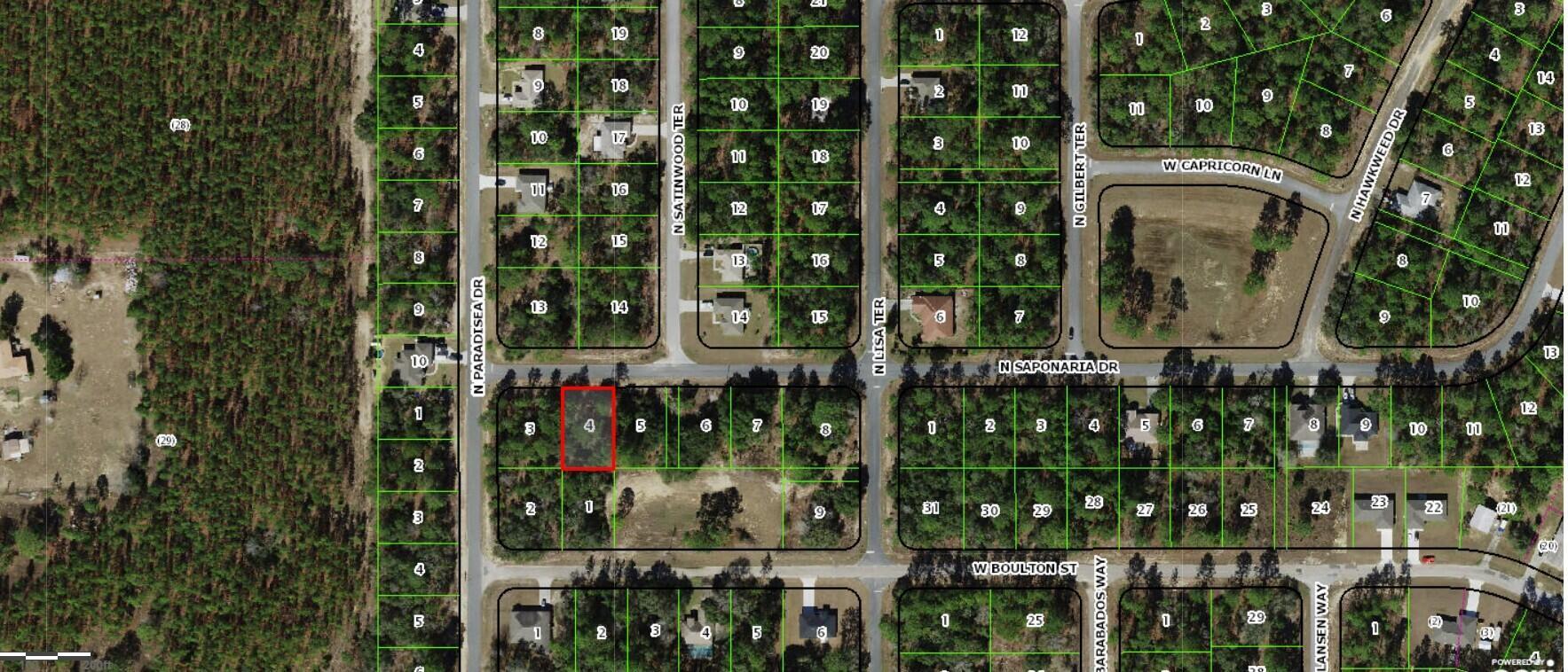 9029 N Saponaria Drive, Citrus Springs, FL 34433, Citrus Springs - Photo 4