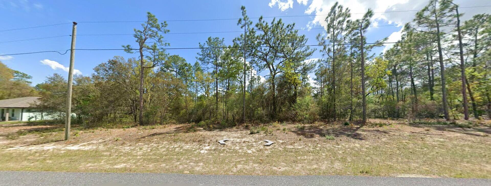 9029 N Saponaria Drive, Citrus Springs, FL 34433, Citrus Springs