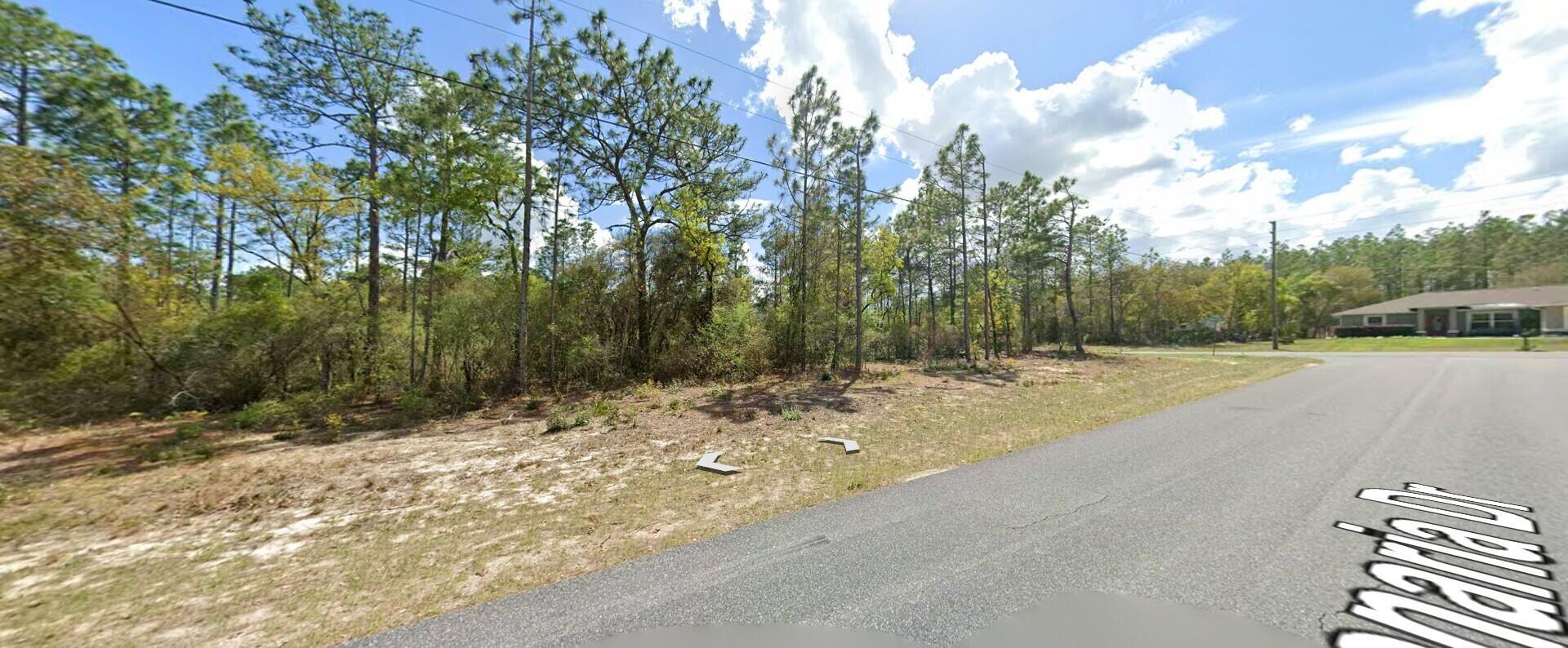 9029 N Saponaria Drive, Citrus Springs, FL 34433, Citrus Springs - Photo 2