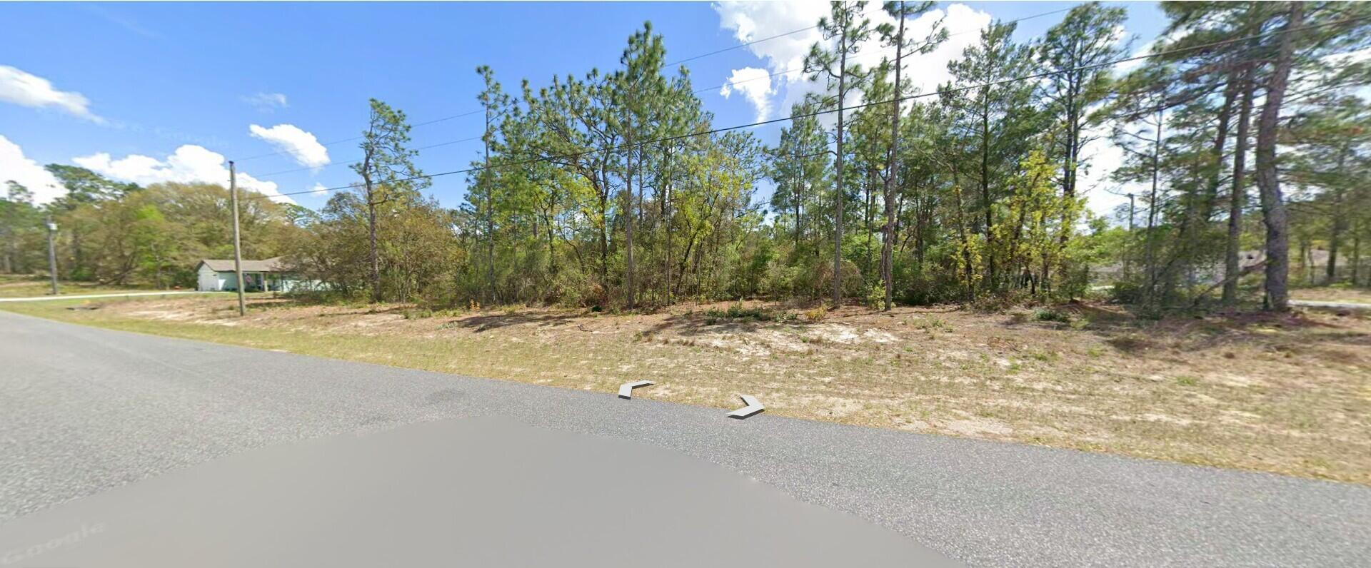 9029 N Saponaria Drive, Citrus Springs, FL 34433, Citrus Springs - Photo 3
