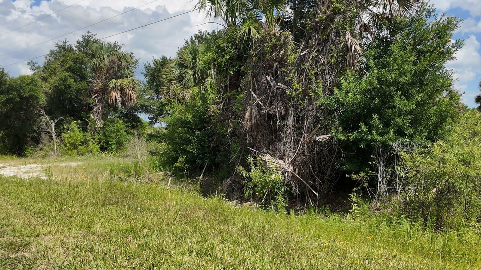 18980 NW 274th Street, Okeechobee, FL 34972, Okeechobee - Photo 2