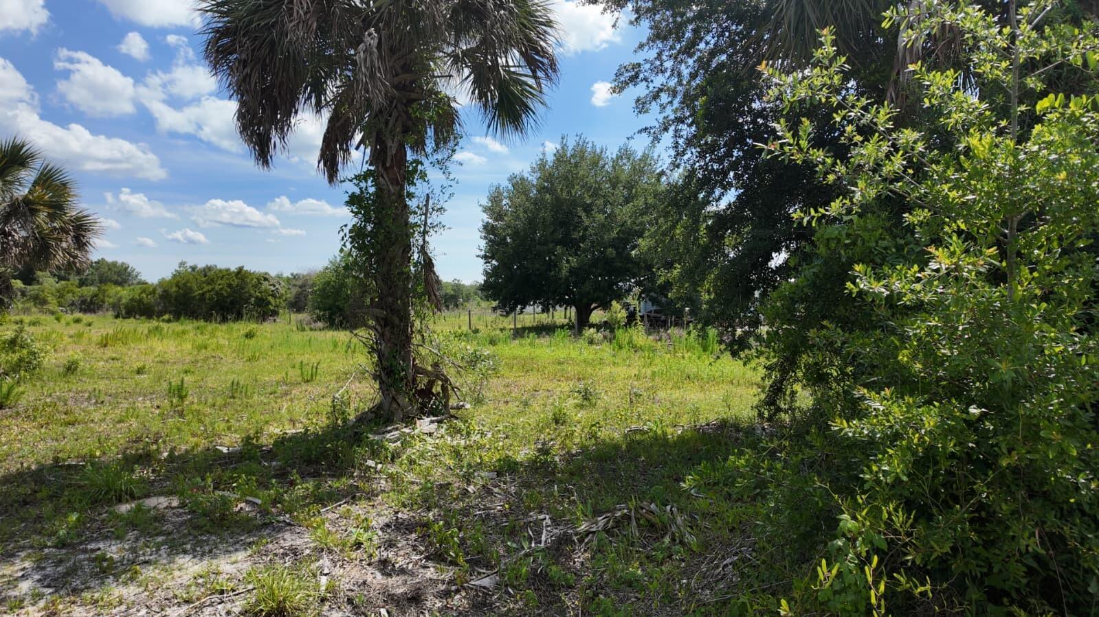18980 NW 274th Street, Okeechobee, FL 34972, Okeechobee - Photo 3