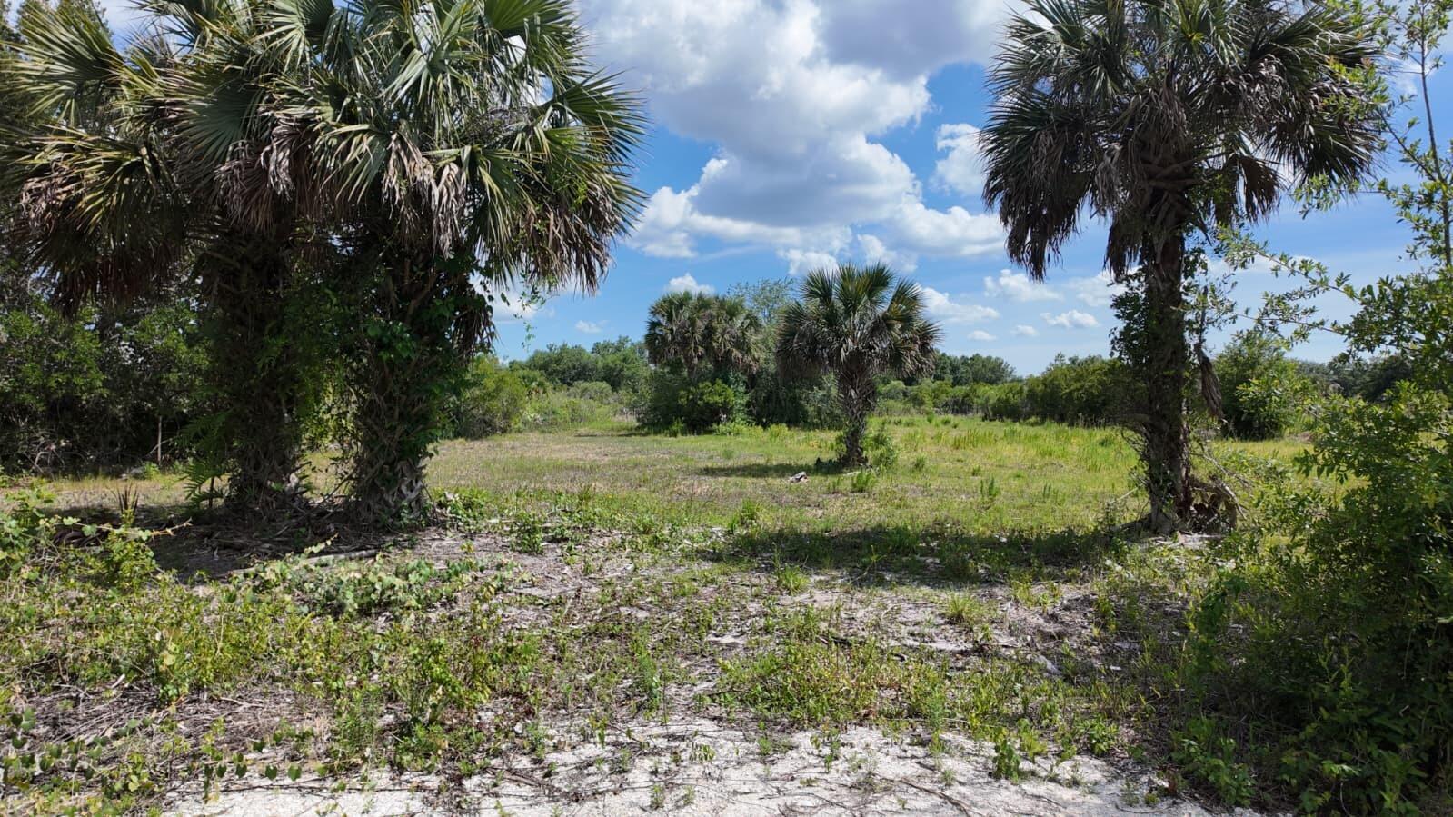 18980 NW 274th Street, Okeechobee, FL 34972, Okeechobee - Photo 4