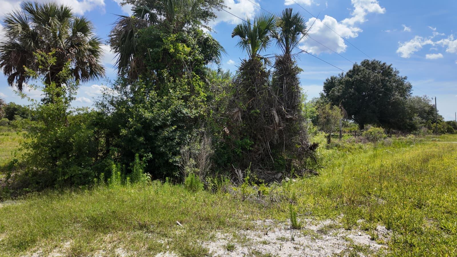 18980 NW 274th Street, Okeechobee, FL 34972, Okeechobee - Photo 5