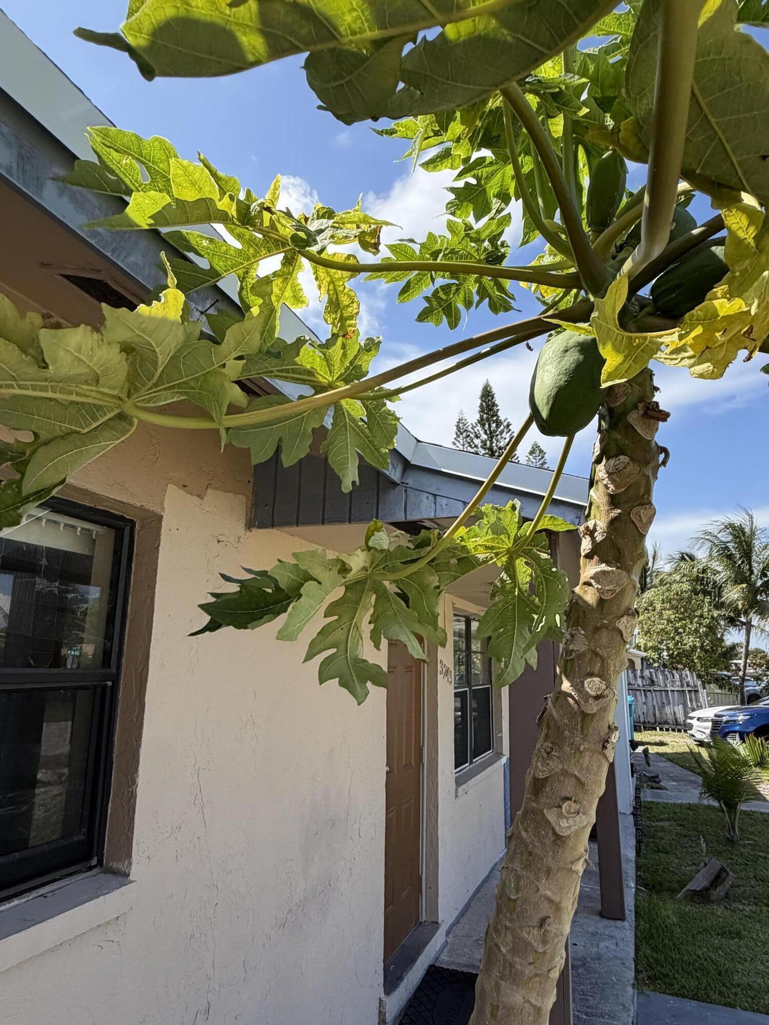 3243 Grove Road, Boynton Beach, FL 33435, Boynton Beach