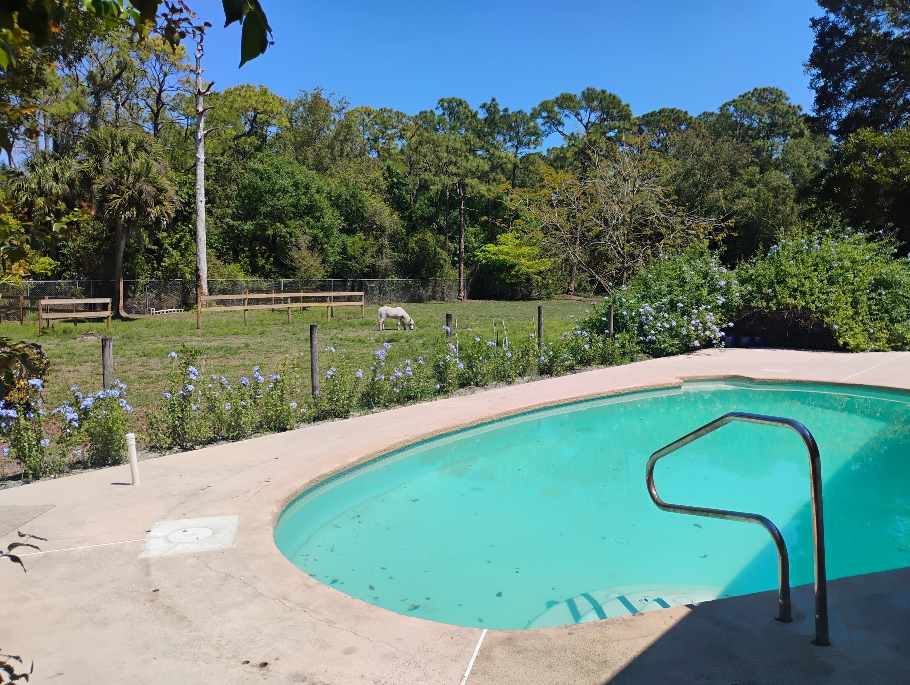 15531 42nd Road N, Loxahatchee Groves, FL 33470, Loxahatchee Groves - Photo 4