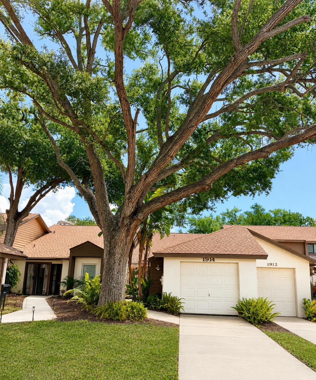 1914 Bayshore Court, Safety Harbor, FL 34695, Safety Harbor