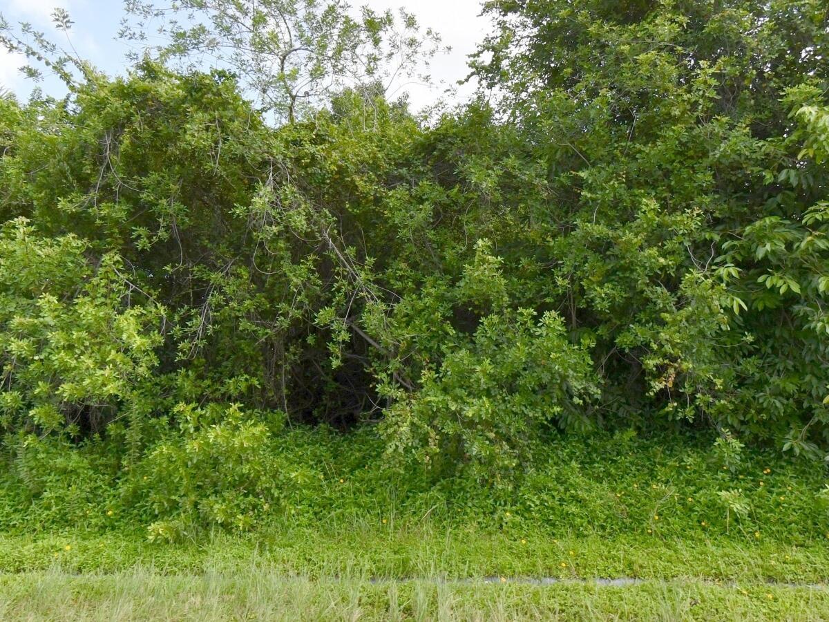 1081 SW Dartmouth Avenue SW, Port St. Lucie, FL 34953, Port St. Lucie