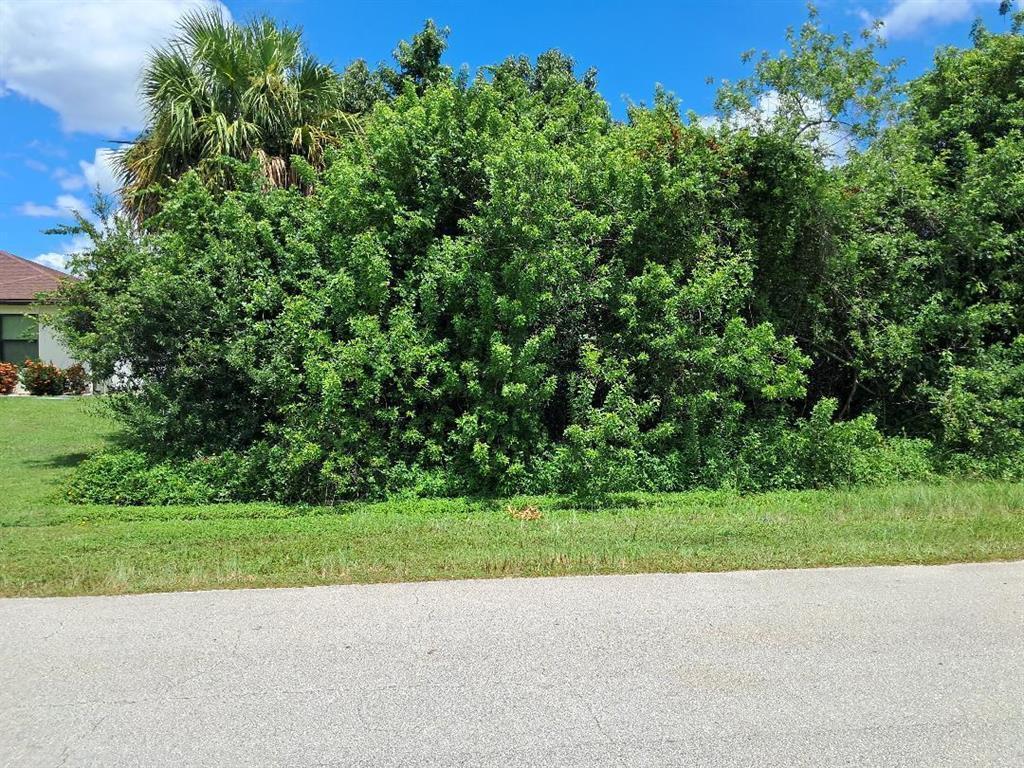 1081 SW Dartmouth Avenue SW, Port St. Lucie, FL 34953, Port St. Lucie - Photo 3