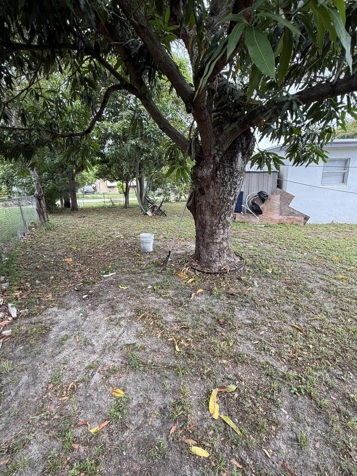 440 Tulip Tree Drive, Lake Worth, FL 33462, Lake Worth - Photo 3