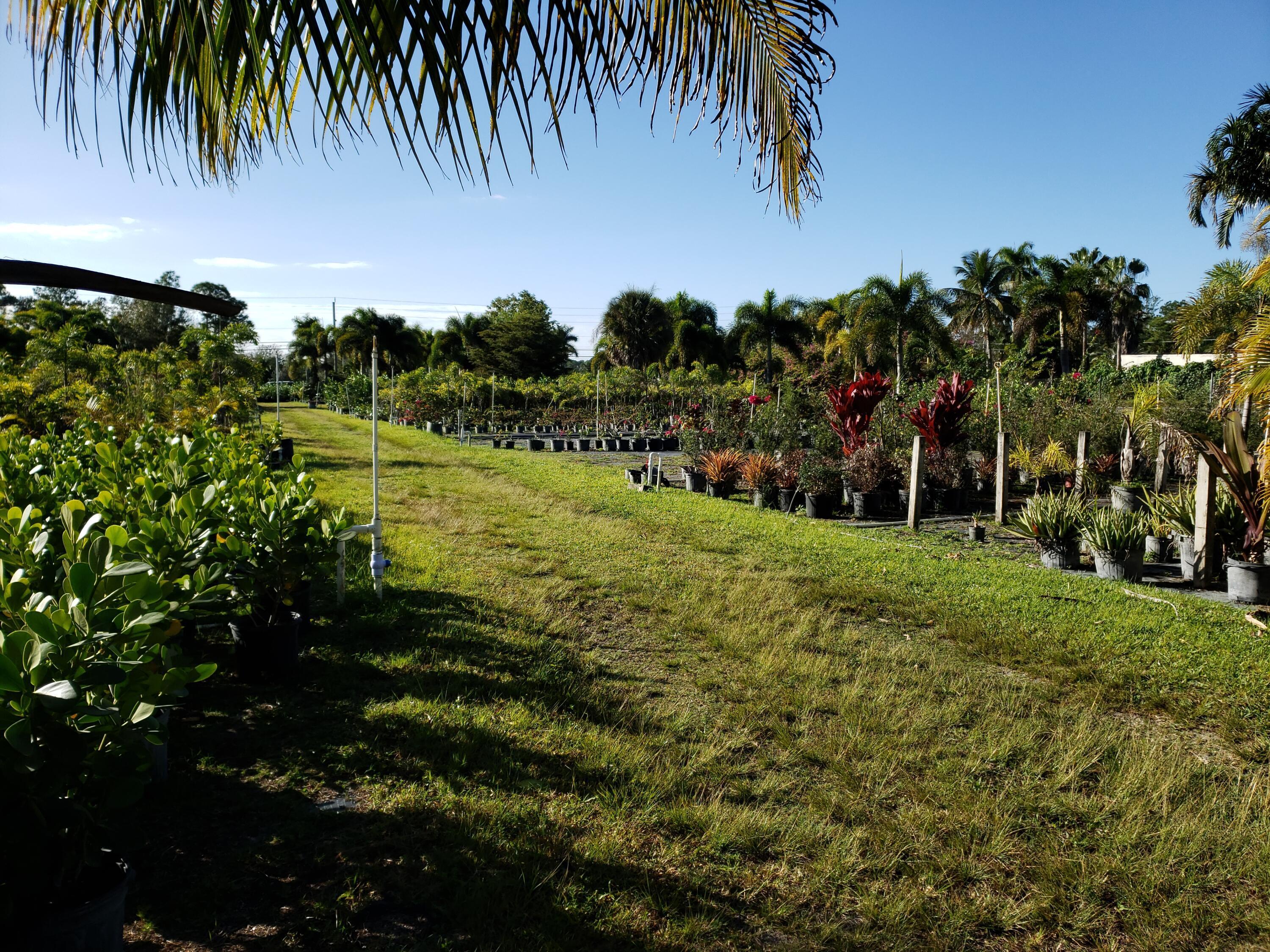 14375 Okeechobee Boulevard, Loxahatchee Groves, FL 33470, Loxahatchee Groves - Photo 2
