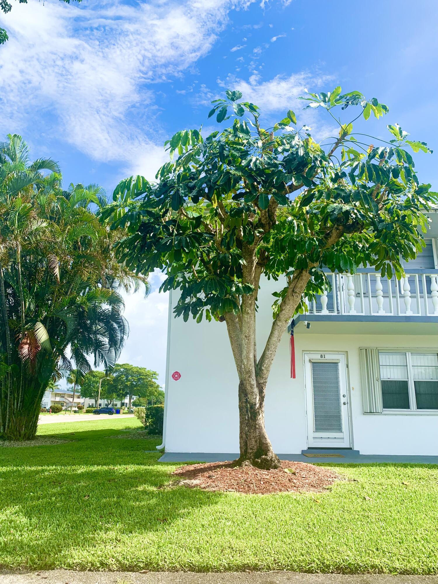81 Kingswood E, West Palm Beach, FL 33417, West Palm Beach