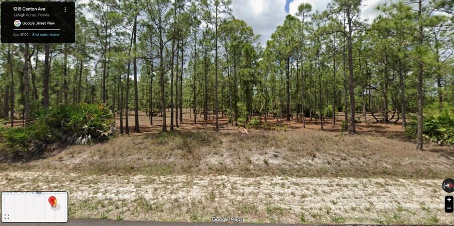 1215 Canton Avenue, Lehigh Acres, FL 33972, Lehigh Acres