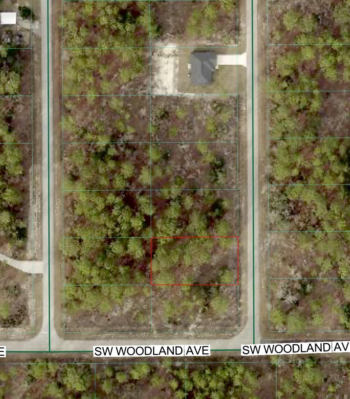 Tbd SW Buena Vista Road, Dunnellon, FL 34431, Dunnellon