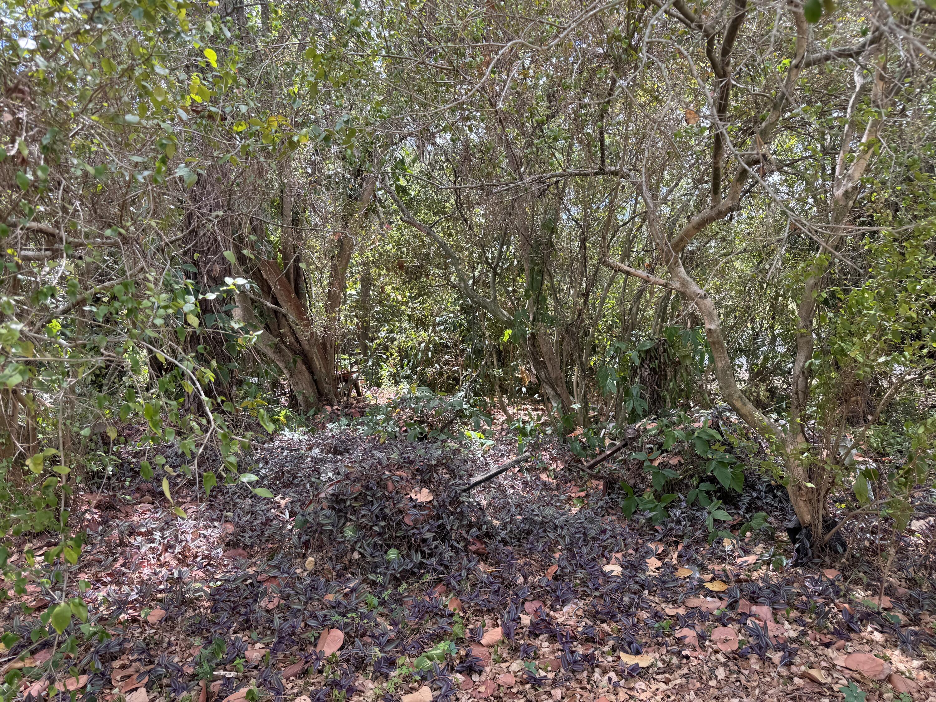 3358 S Jog Road, Greenacres, FL 33467, Greenacres - Photo 2