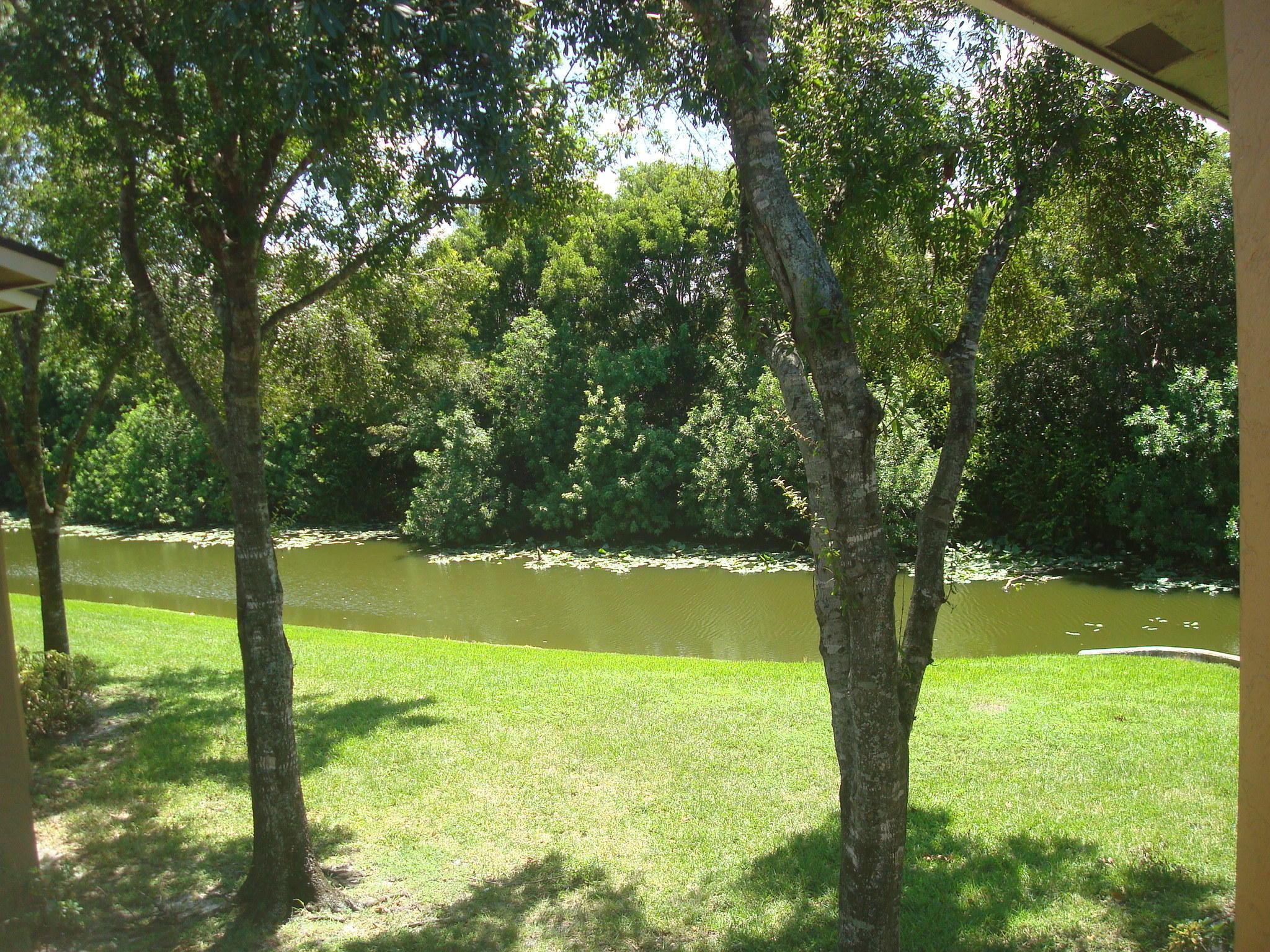 1141 LAKE VICTORIA Drive H, West Palm Beach, FL 33411, West Palm Beach - Photo 5