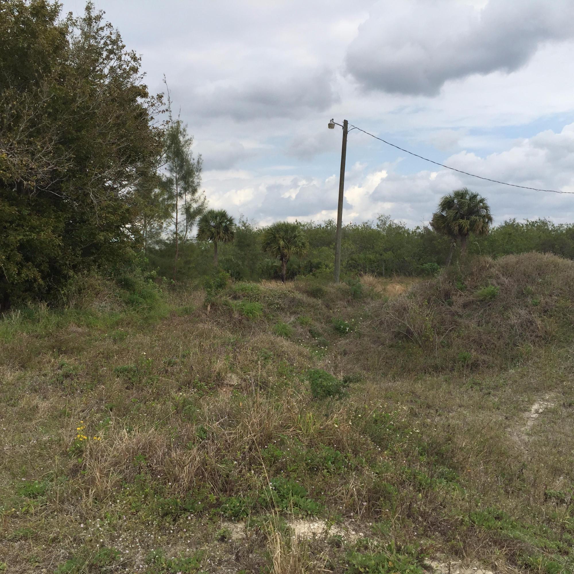 20636 LOUISE Street, Loxahatchee, FL 33470, Loxahatchee