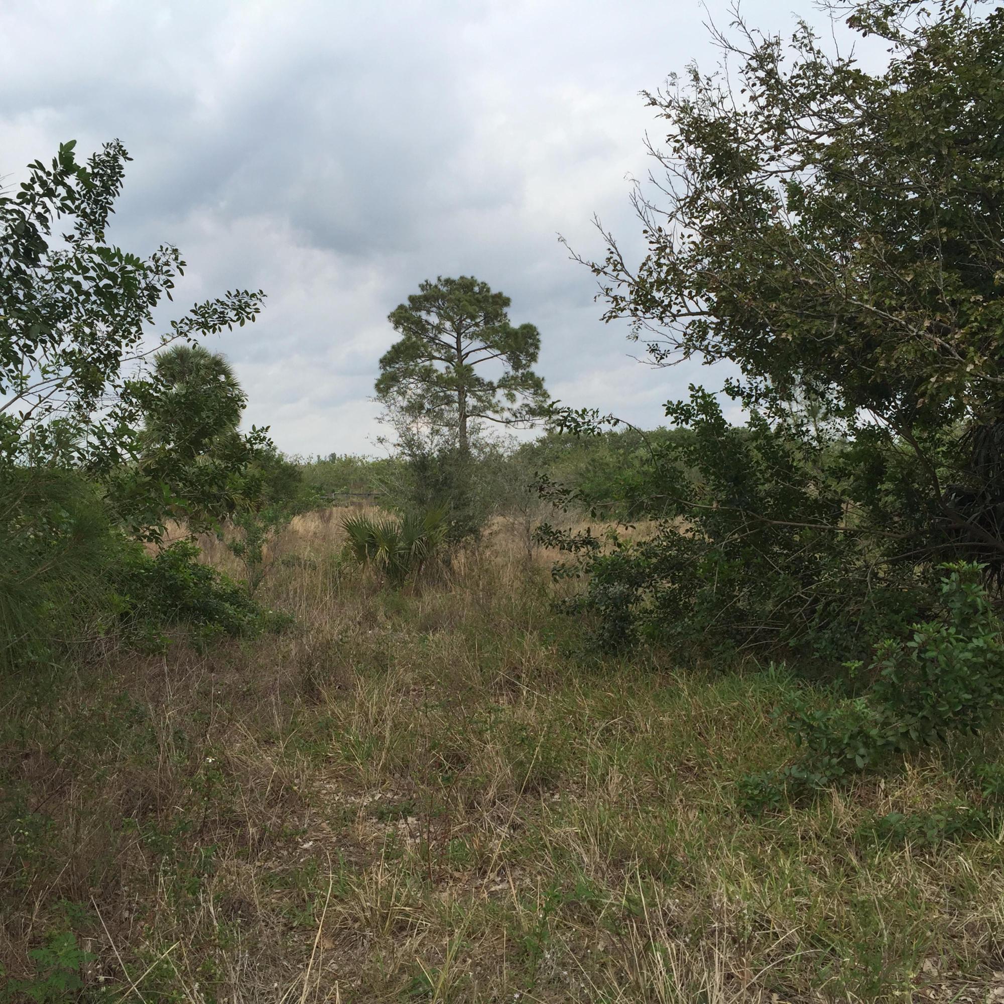 20636 LOUISE Street, Loxahatchee, FL 33470, Loxahatchee - Photo 2