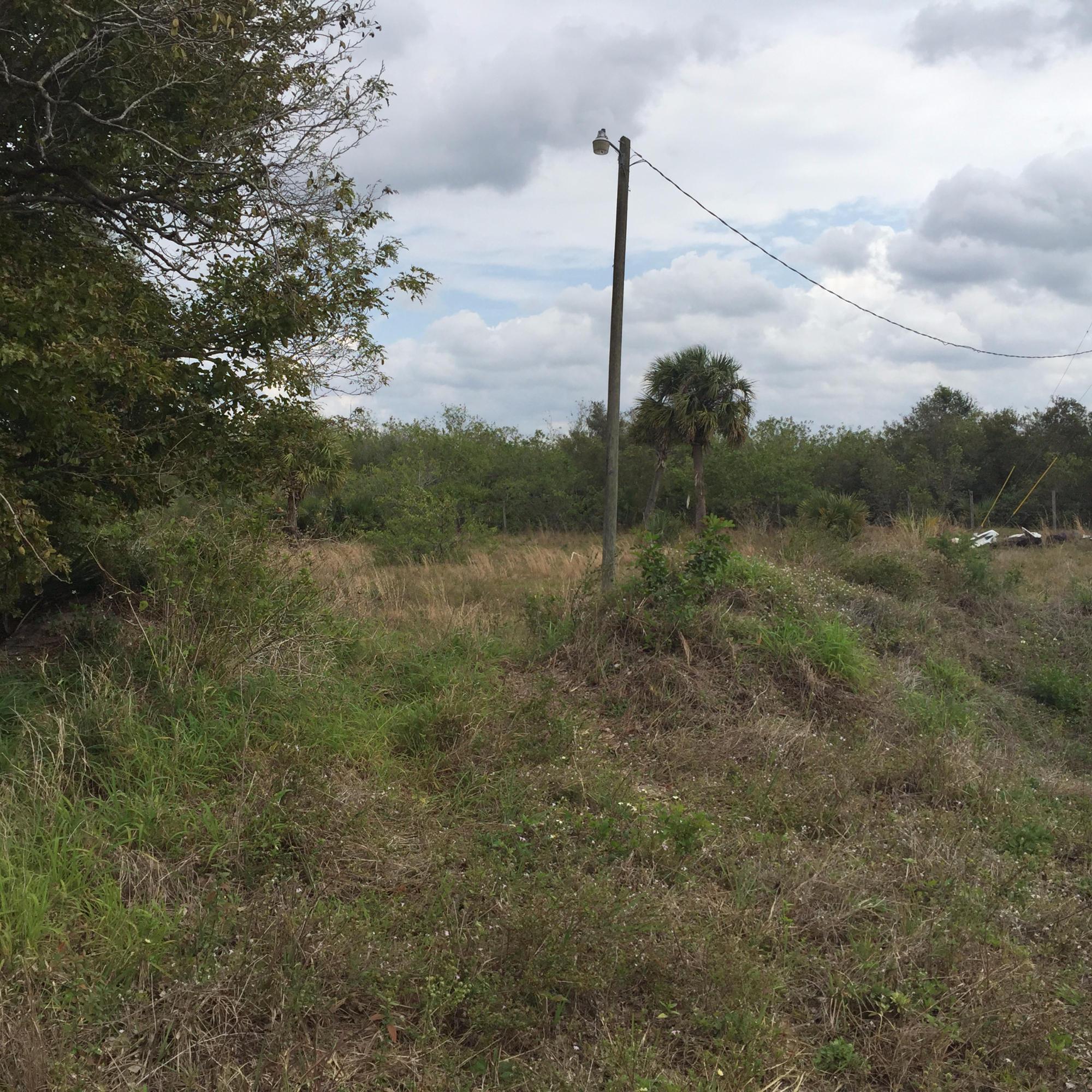 20636 LOUISE Street, Loxahatchee, FL 33470, Loxahatchee - Photo 3