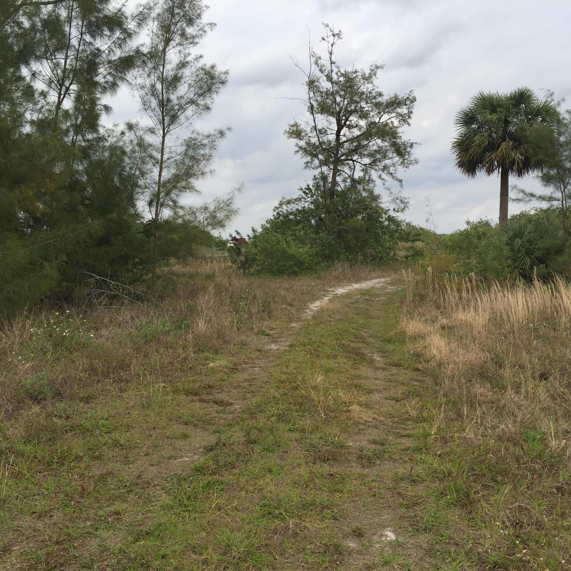 20636 LOUISE Street, Loxahatchee, FL 33470, Loxahatchee - Photo 4