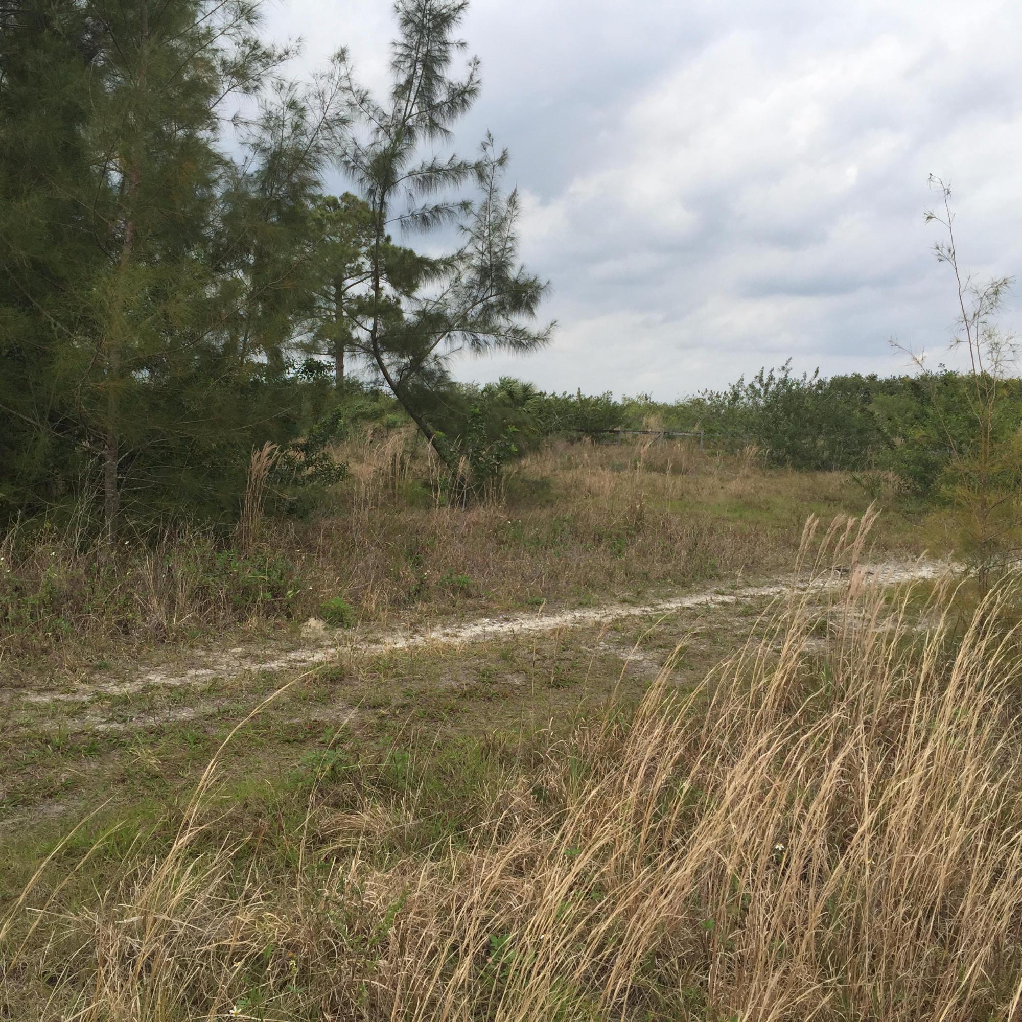 20636 LOUISE Street, Loxahatchee, FL 33470, Loxahatchee - Photo 5