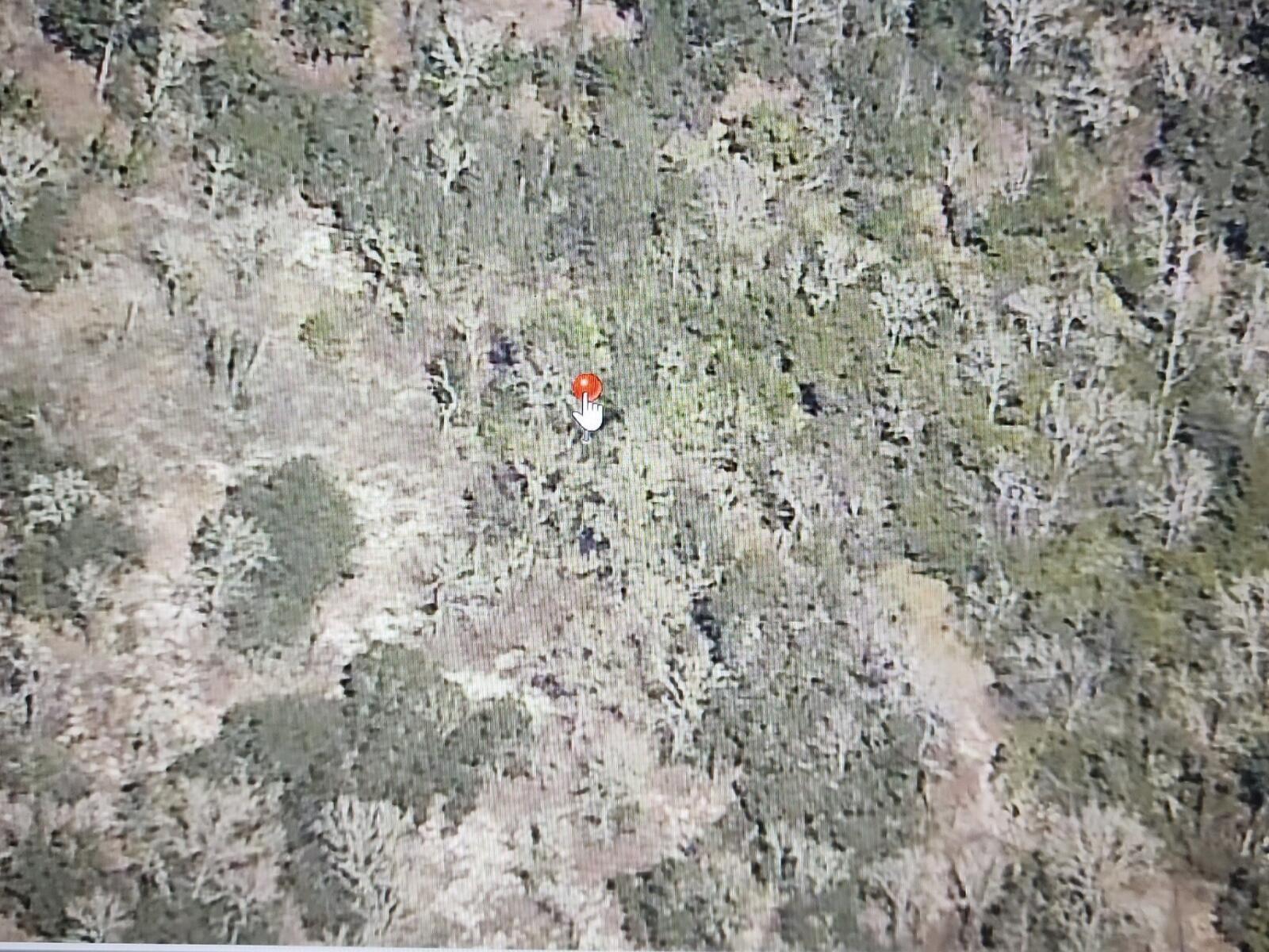 000 SW Paradise Heights Road, Rainbow Lakes Estates, FL 34431, Rainbow Lakes Estates - Photo 2