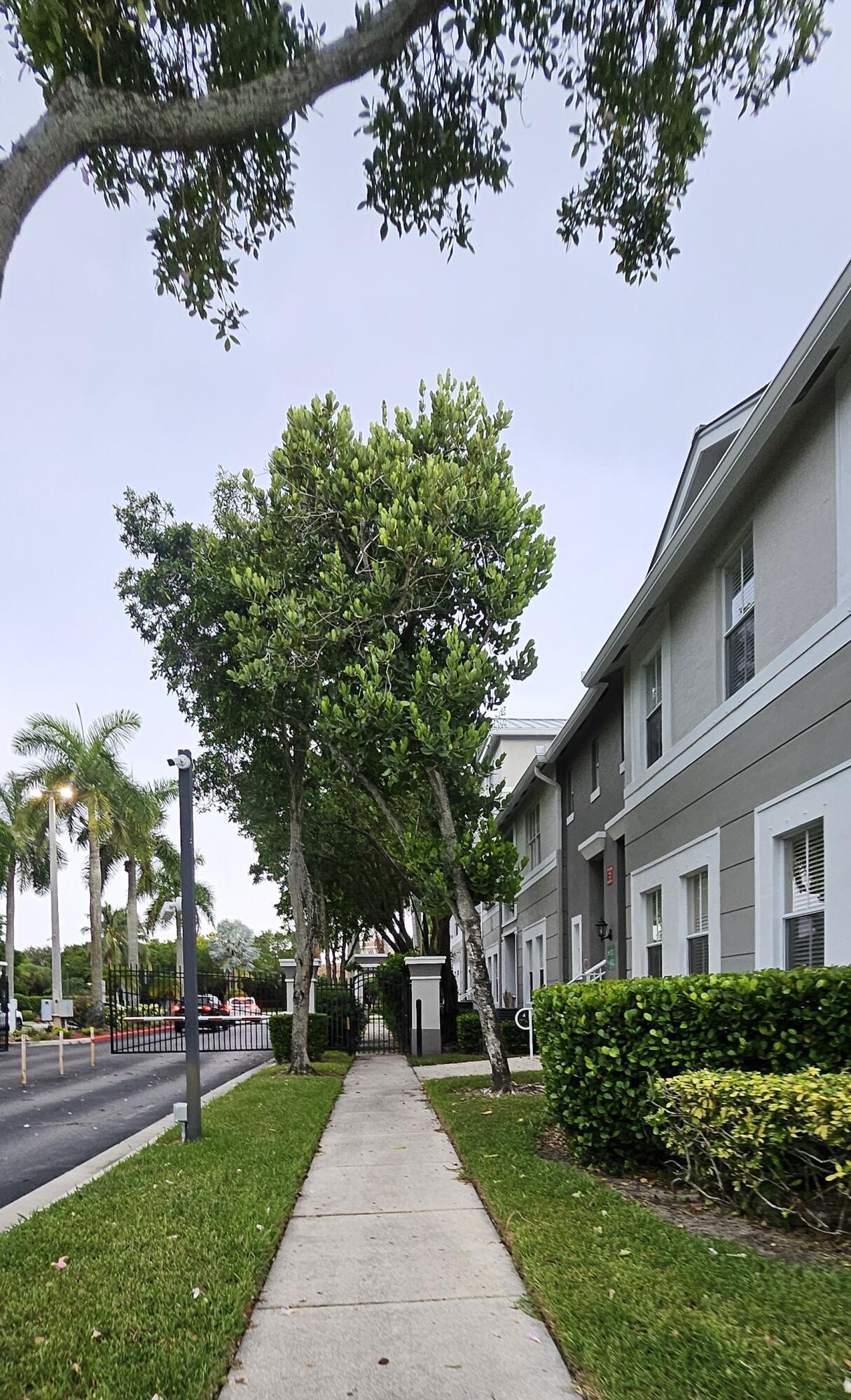1110 E Shoma Drive E 423, Royal Palm Beach, FL 33414, Royal Palm Beach - Photo 4