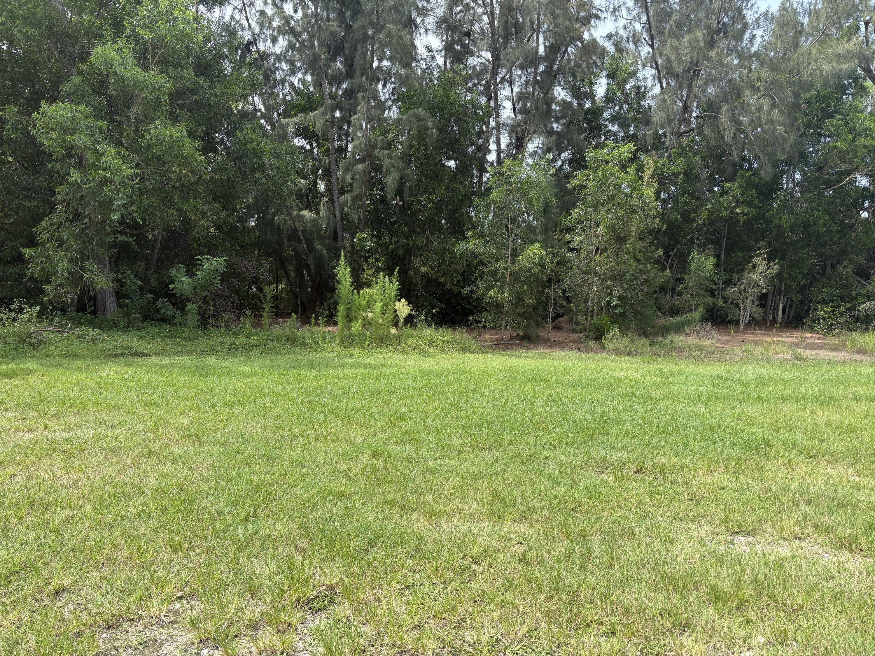 001226 W Indiantown Road W, Jupiter Farms, FL 33478, Jupiter Farms - Photo 2