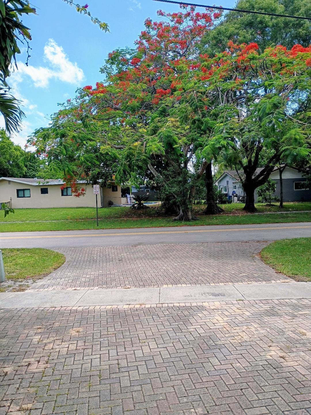 , Plantation - Photo 3