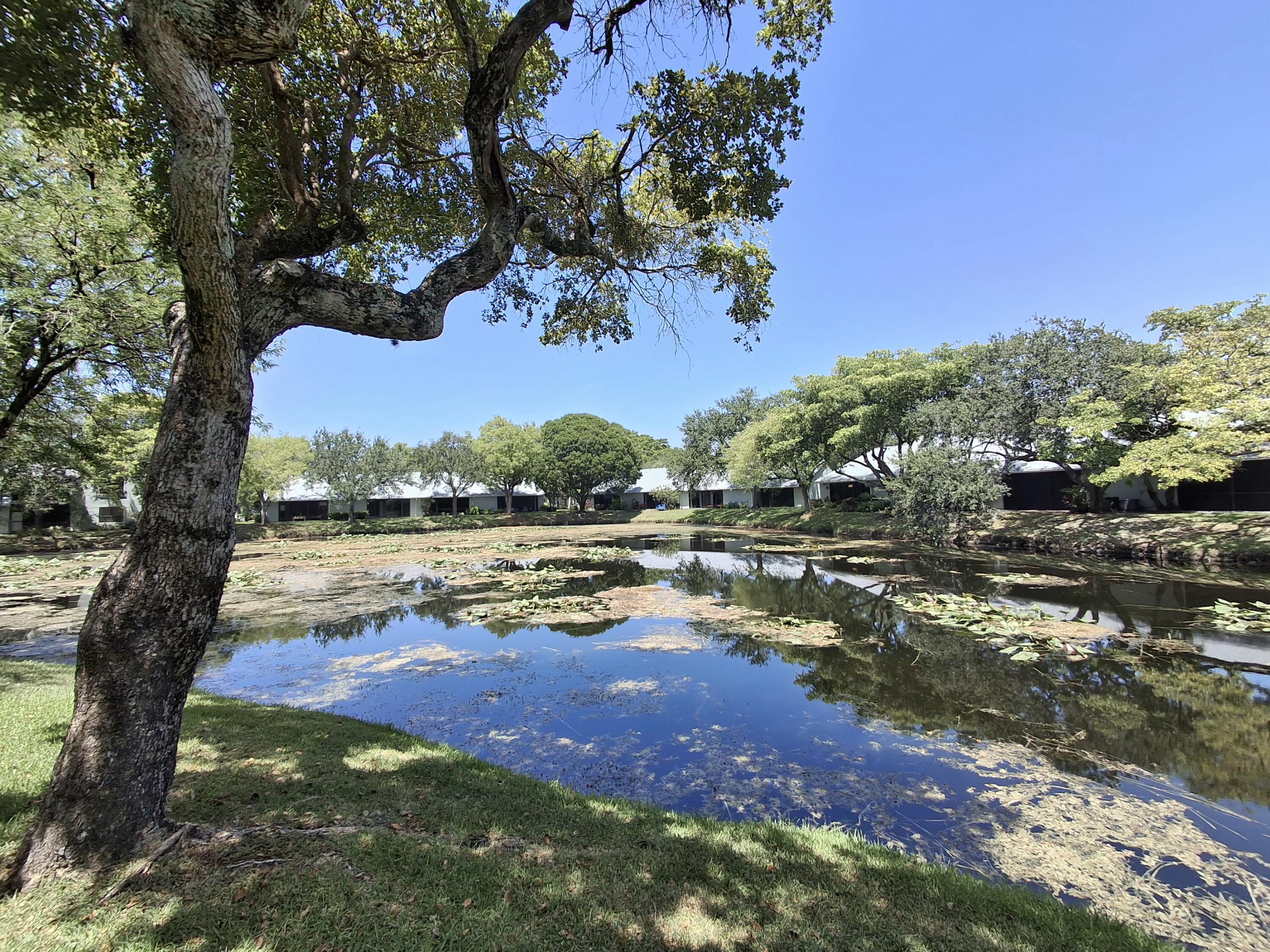 4017 CARAMBOLA Circle N 2994, Coconut Creek, FL 33066, Coconut Creek - Photo 4