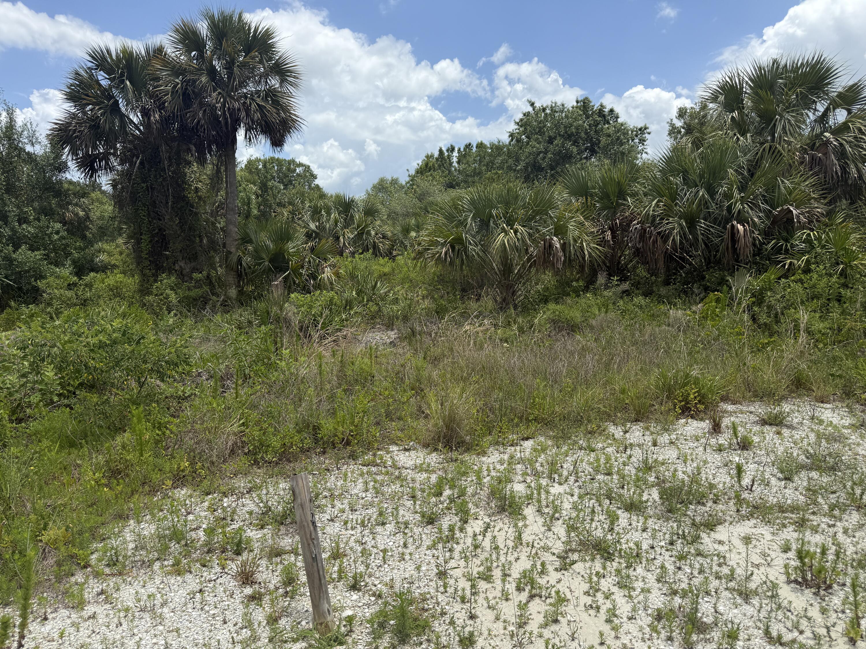 14788 NW 272ND Street, Okeechobee, FL 34972, Okeechobee - Photo 2