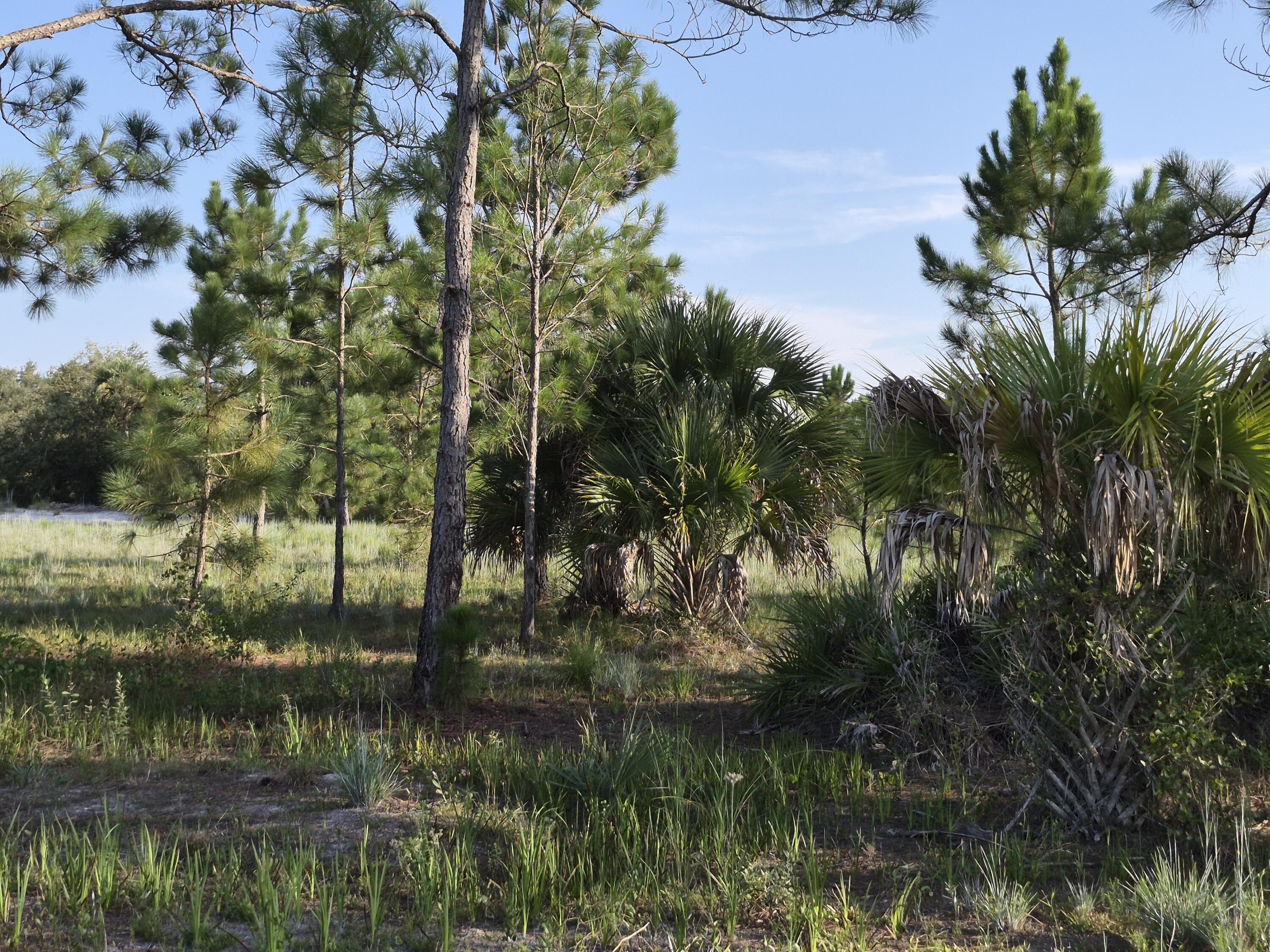 16810 NW 292ND Street, Okeechobee, FL 34972, Okeechobee - Photo 4