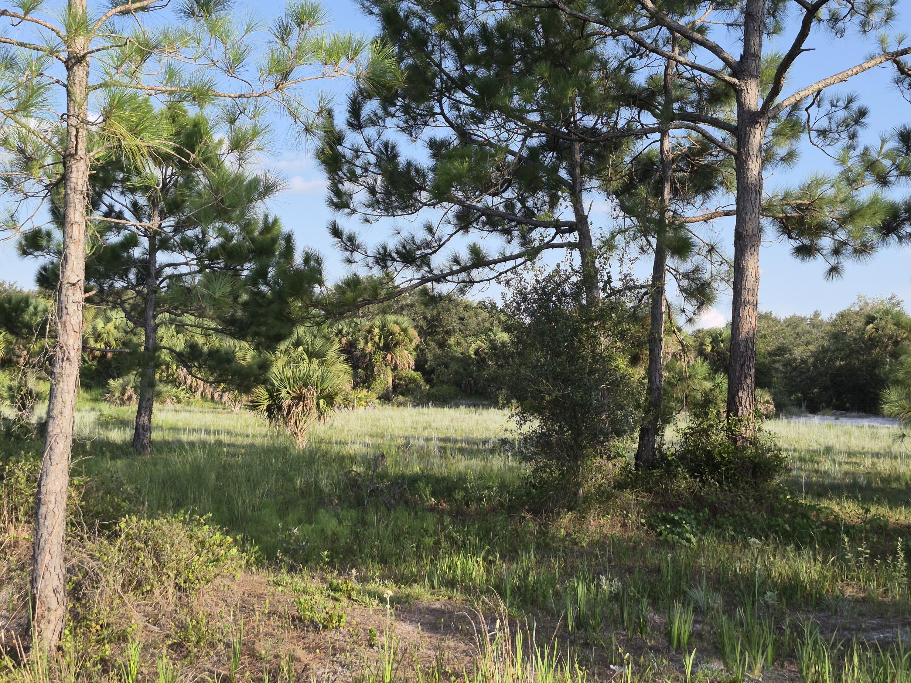 16810 NW 292ND Street, Okeechobee, FL 34972, Okeechobee - Photo 5
