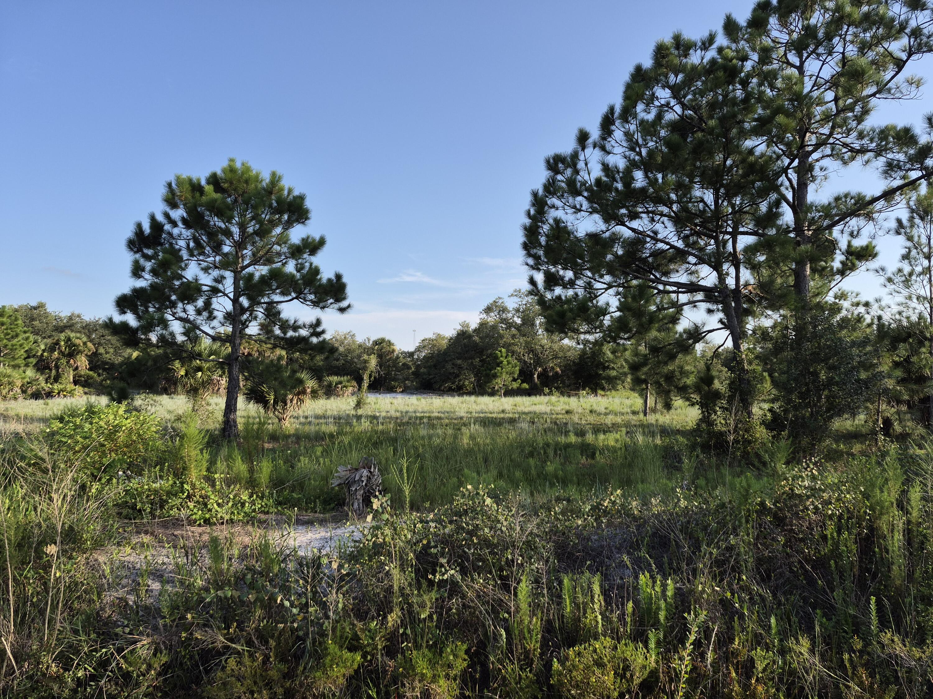 16810 NW 292ND Street, Okeechobee, FL 34972, Okeechobee