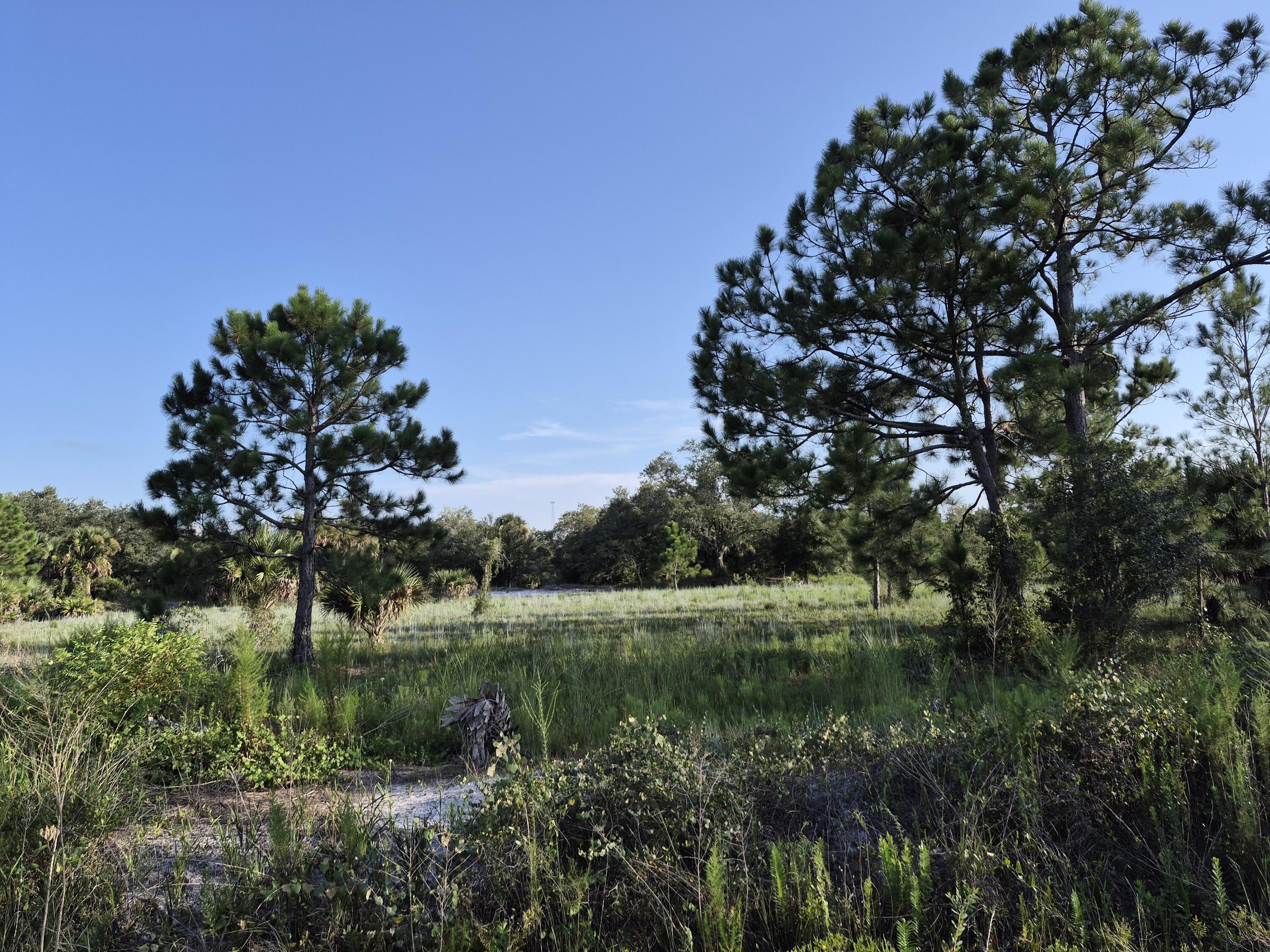 16810 NW 292ND Street, Okeechobee, FL 34972, Okeechobee - Photo 3