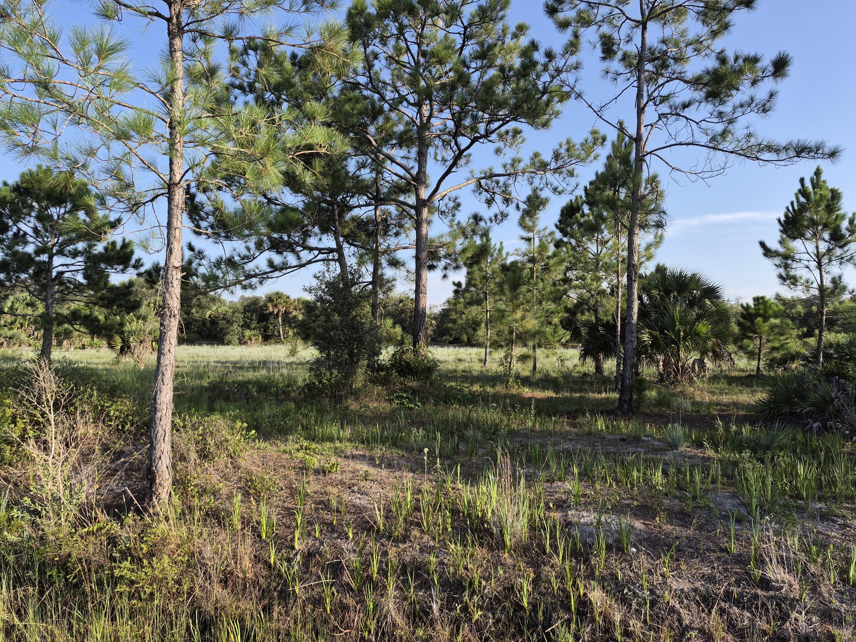 16810 NW 292ND Street, Okeechobee, FL 34972, Okeechobee - Photo 2