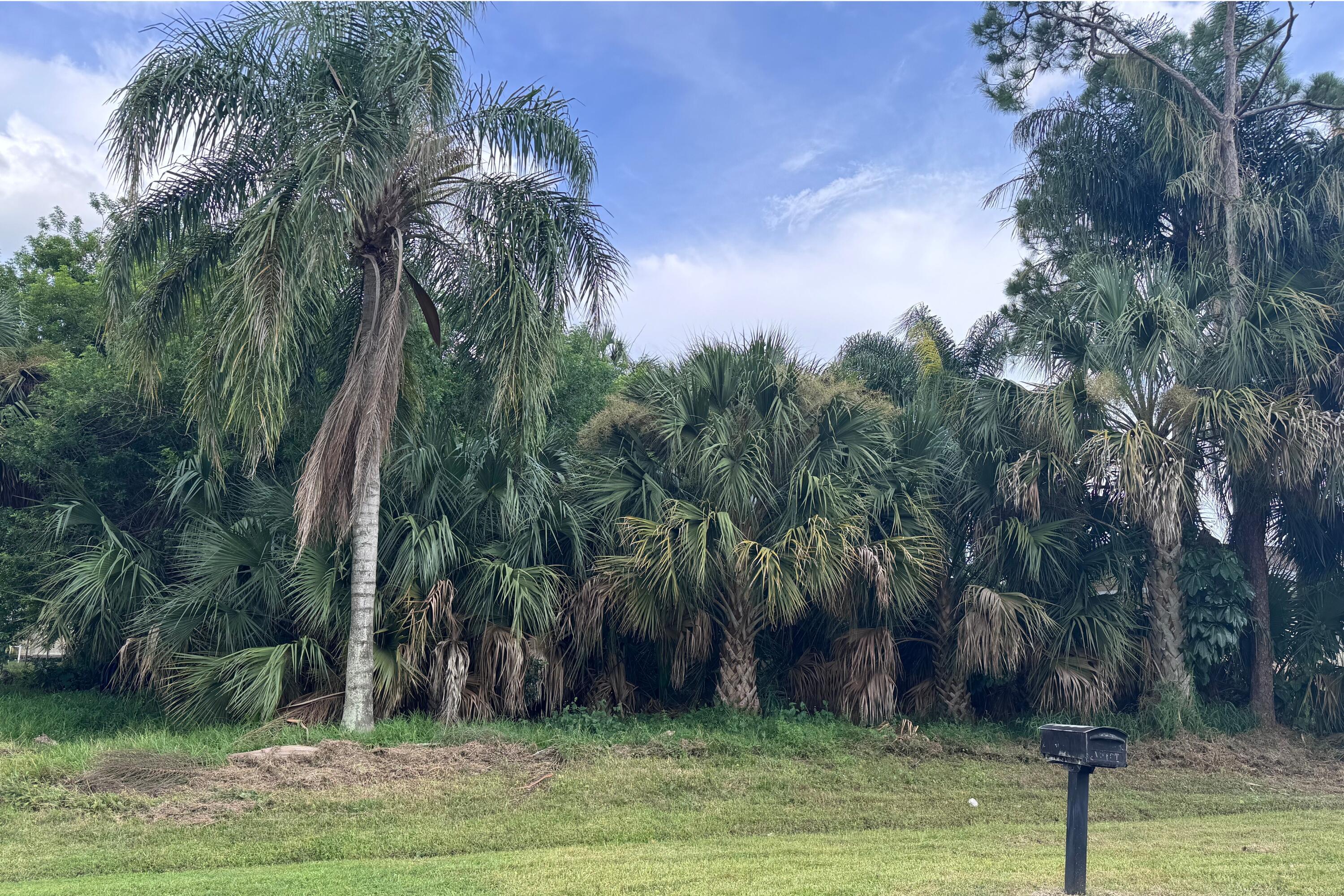 908 SW BAY STATE Road, Port St. Lucie, FL 34953, Port St. Lucie