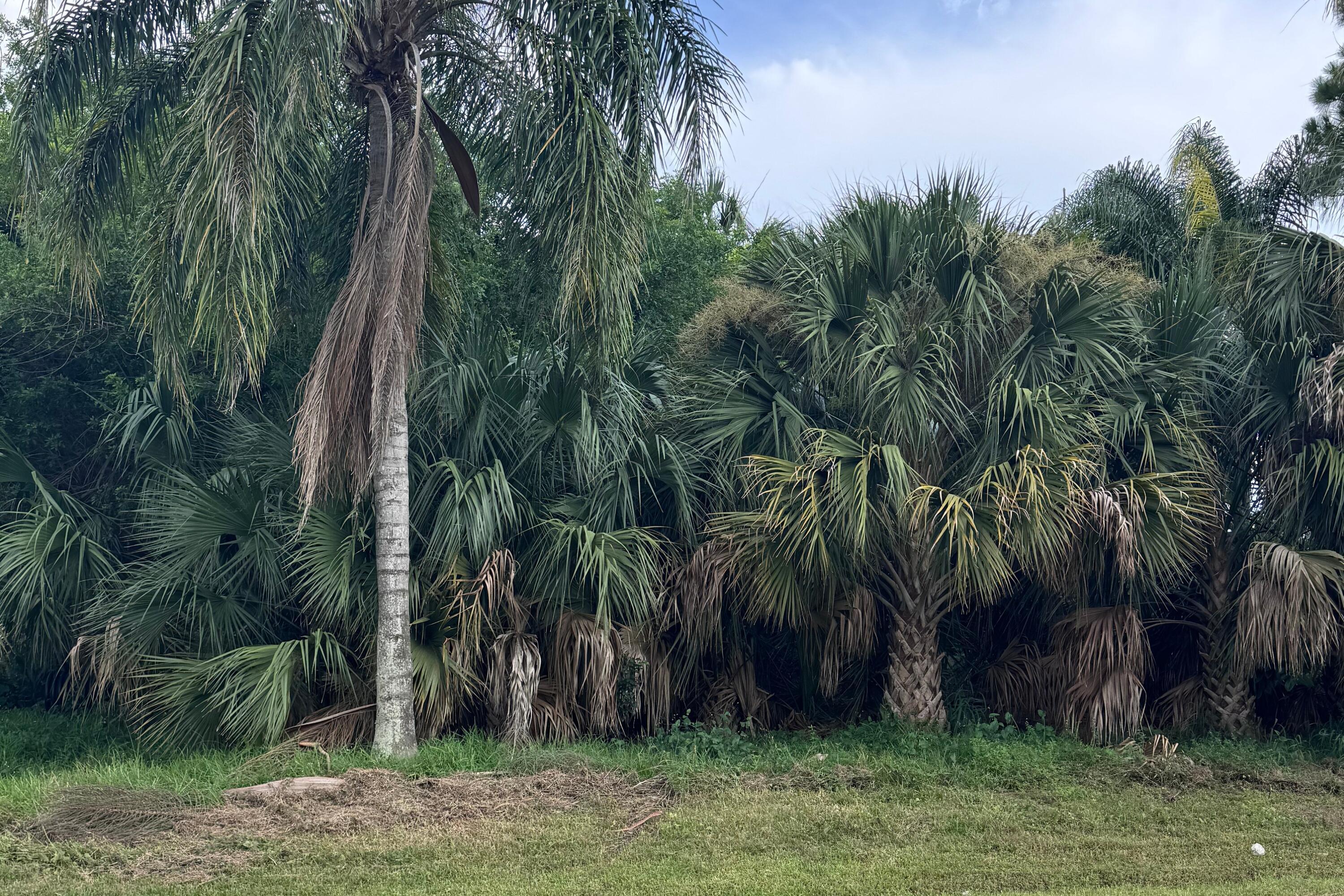 908 SW BAY STATE Road, Port St. Lucie, FL 34953, Port St. Lucie - Photo 2