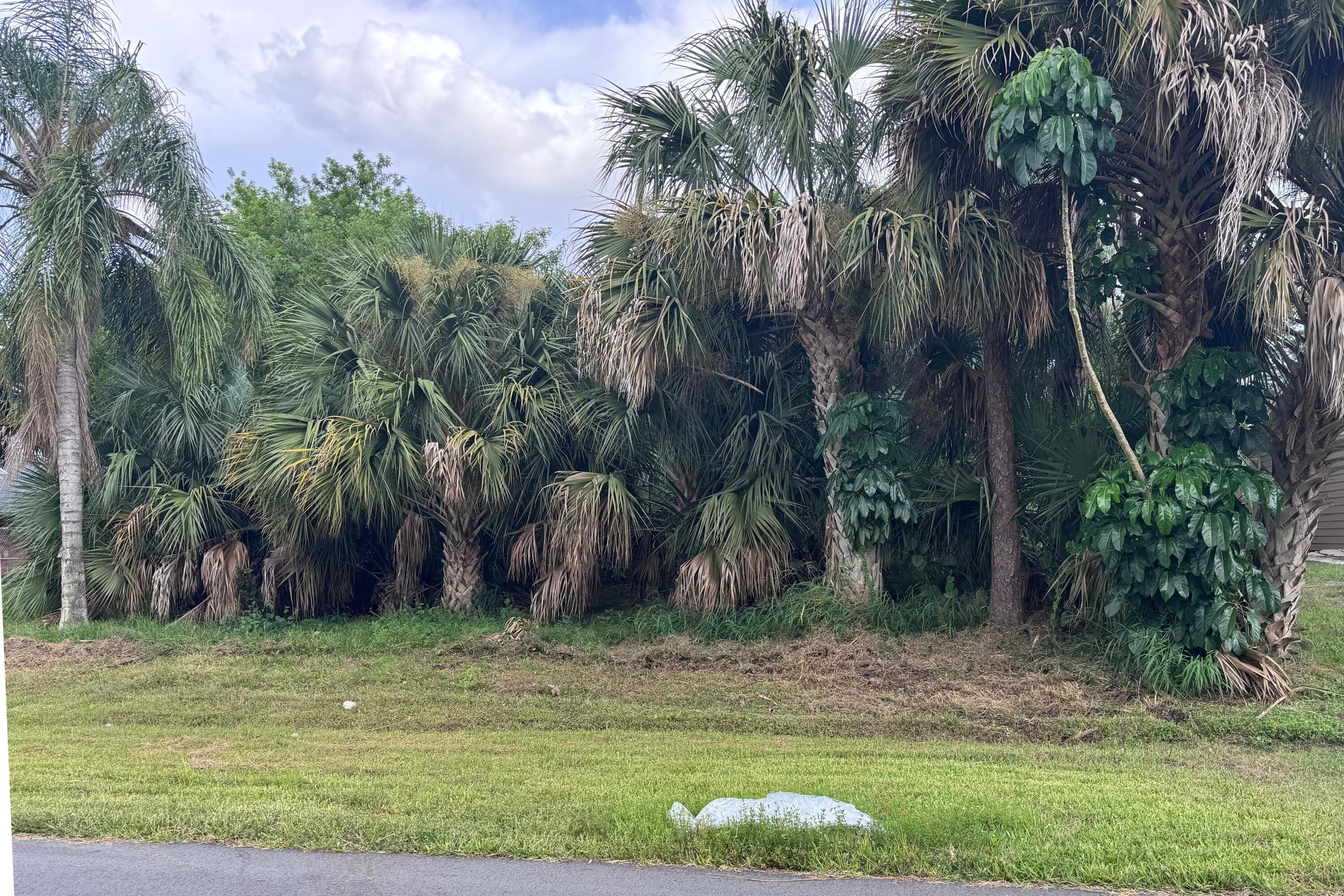908 SW BAY STATE Road, Port St. Lucie, FL 34953, Port St. Lucie - Photo 4