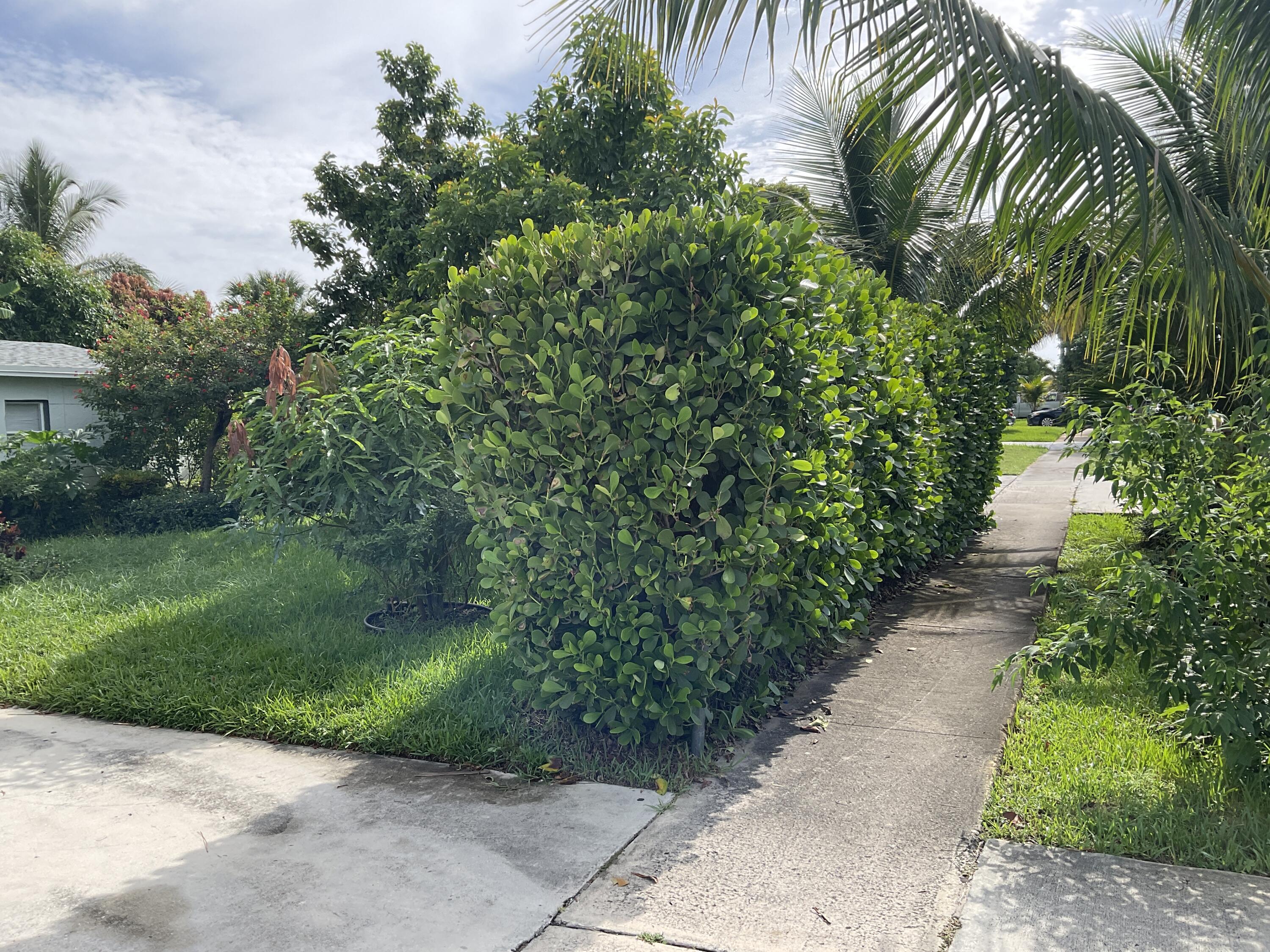 211 NE 27TH Avenue, Boynton Beach, FL 33435, Boynton Beach - Photo 4