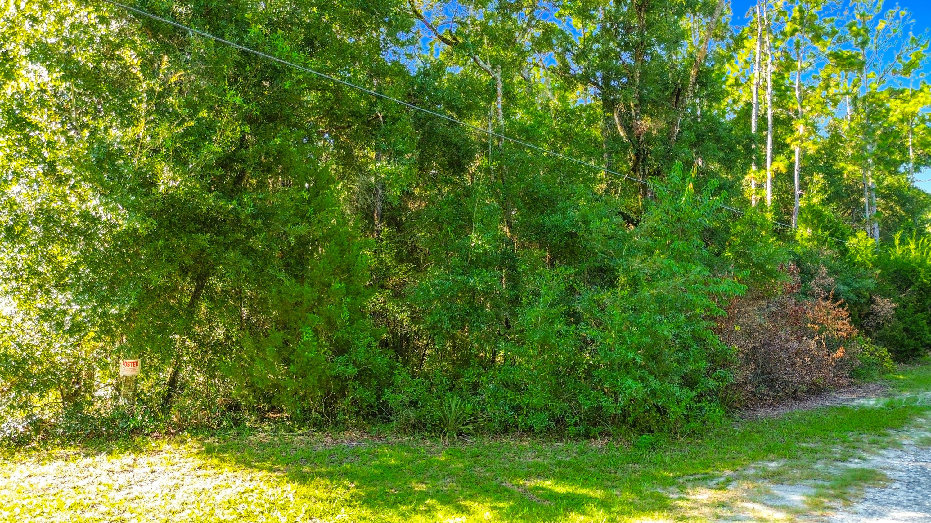 7824 W OX EYE Place, Homosassa, FL 34448, Homosassa - Photo 4