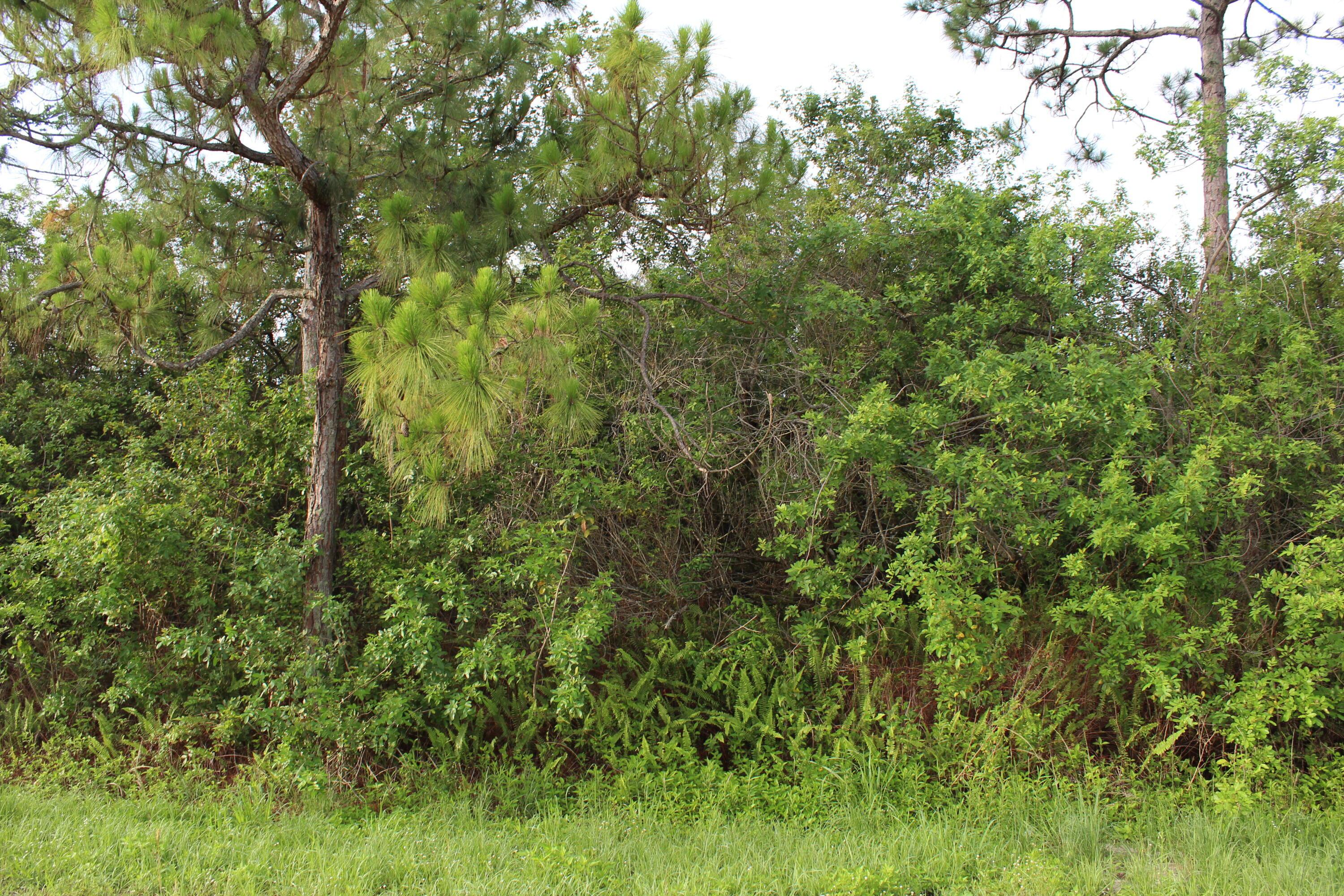 "17992" 94th Street N, Loxahatchee, FL 33470, Loxahatchee - Photo 4